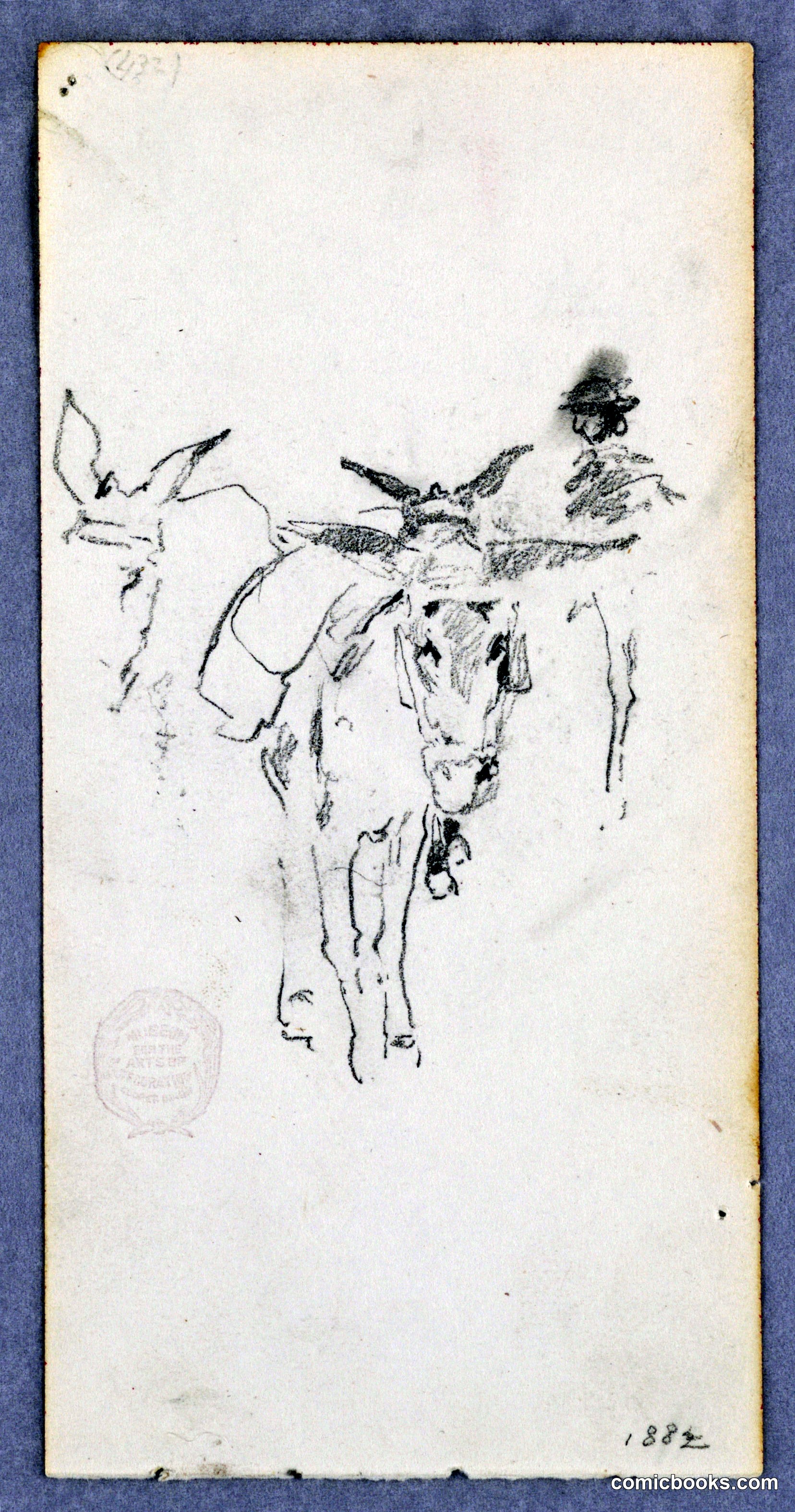 Donkeys