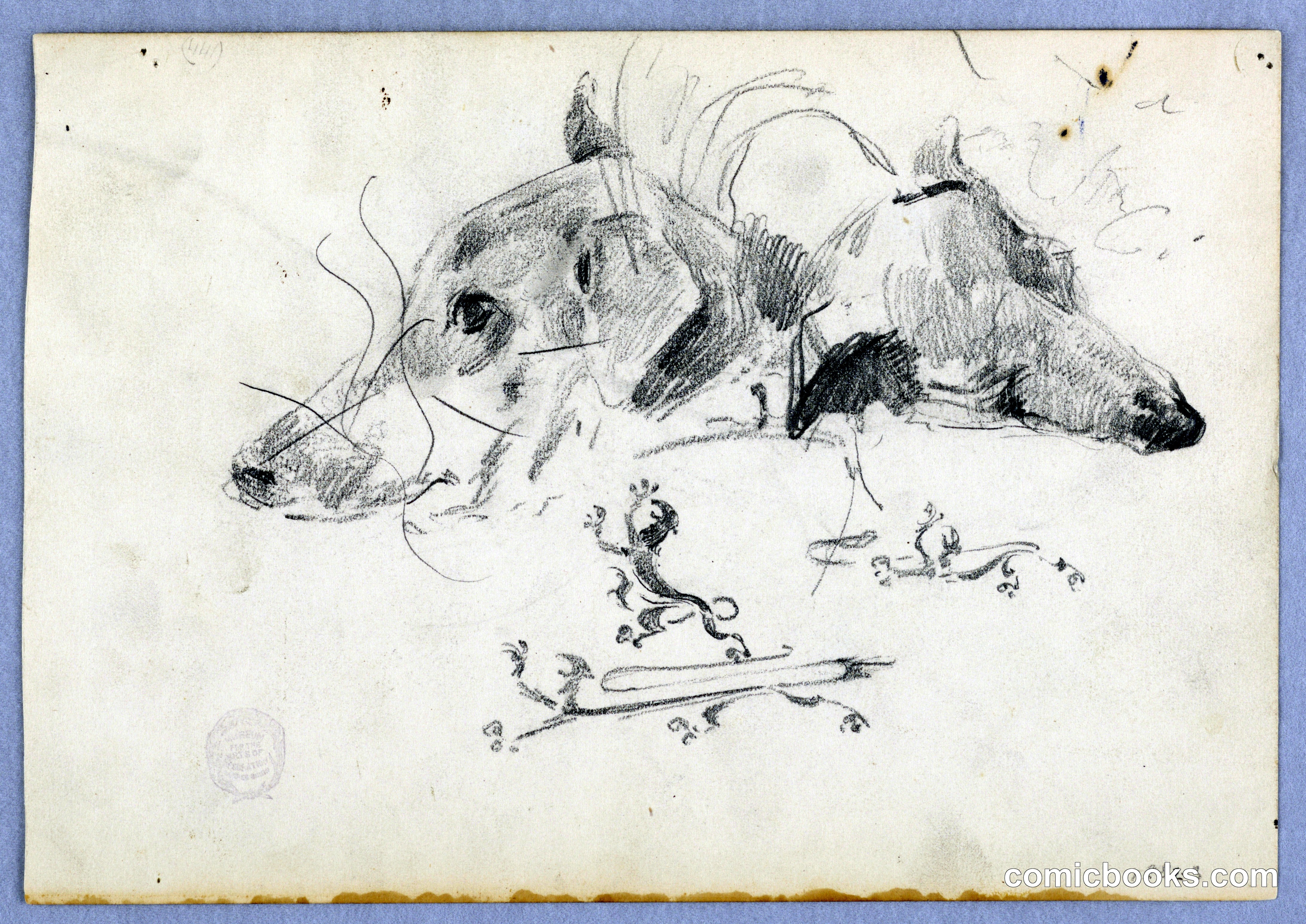 Dog and Lion