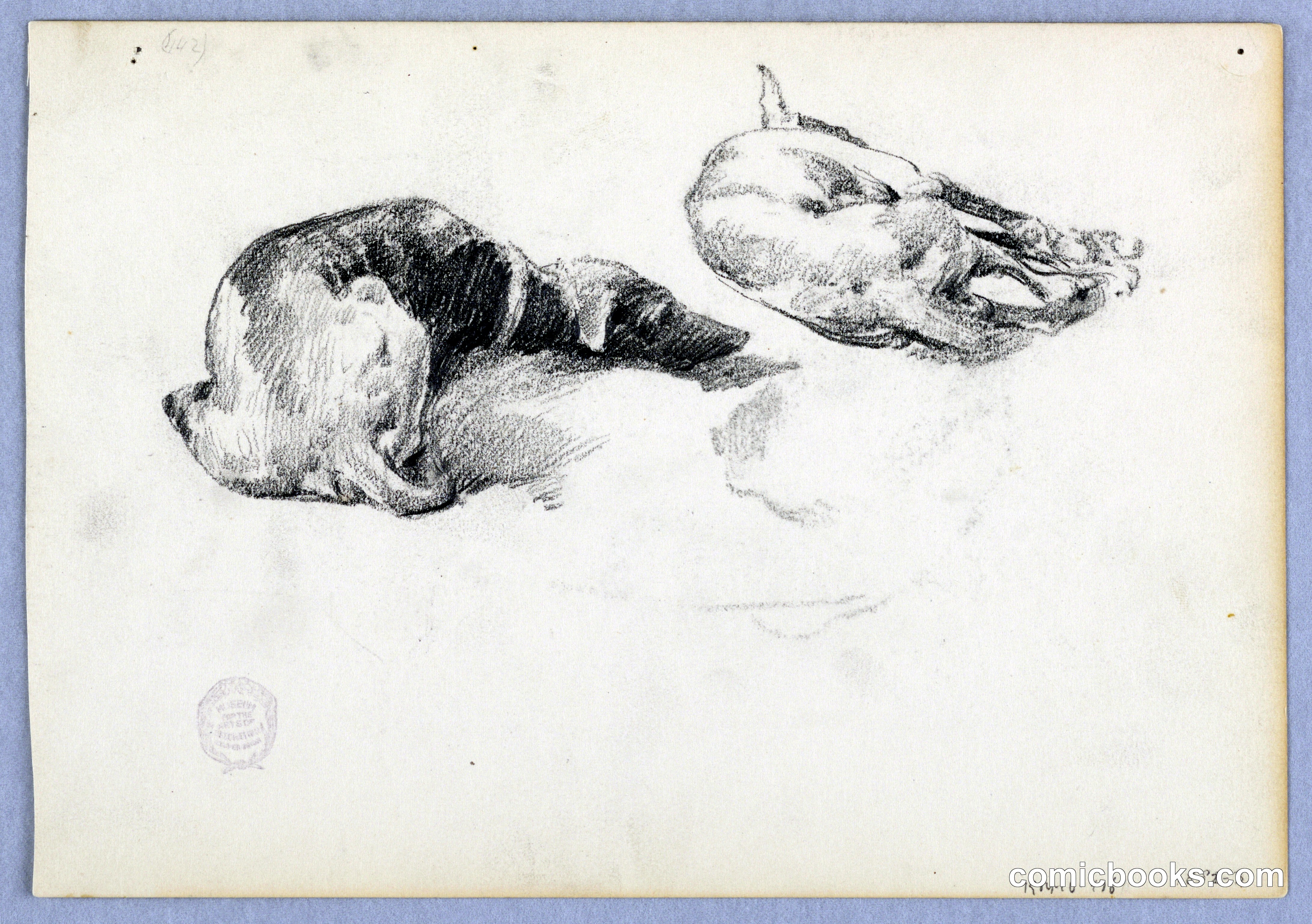 Study of Dogs