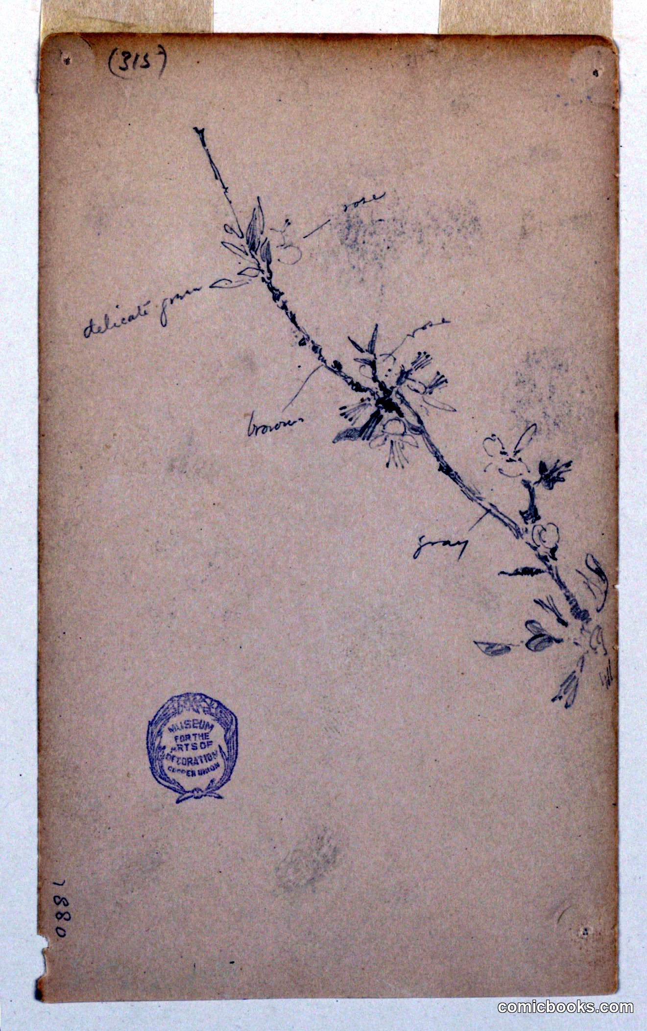 Study of a Branch