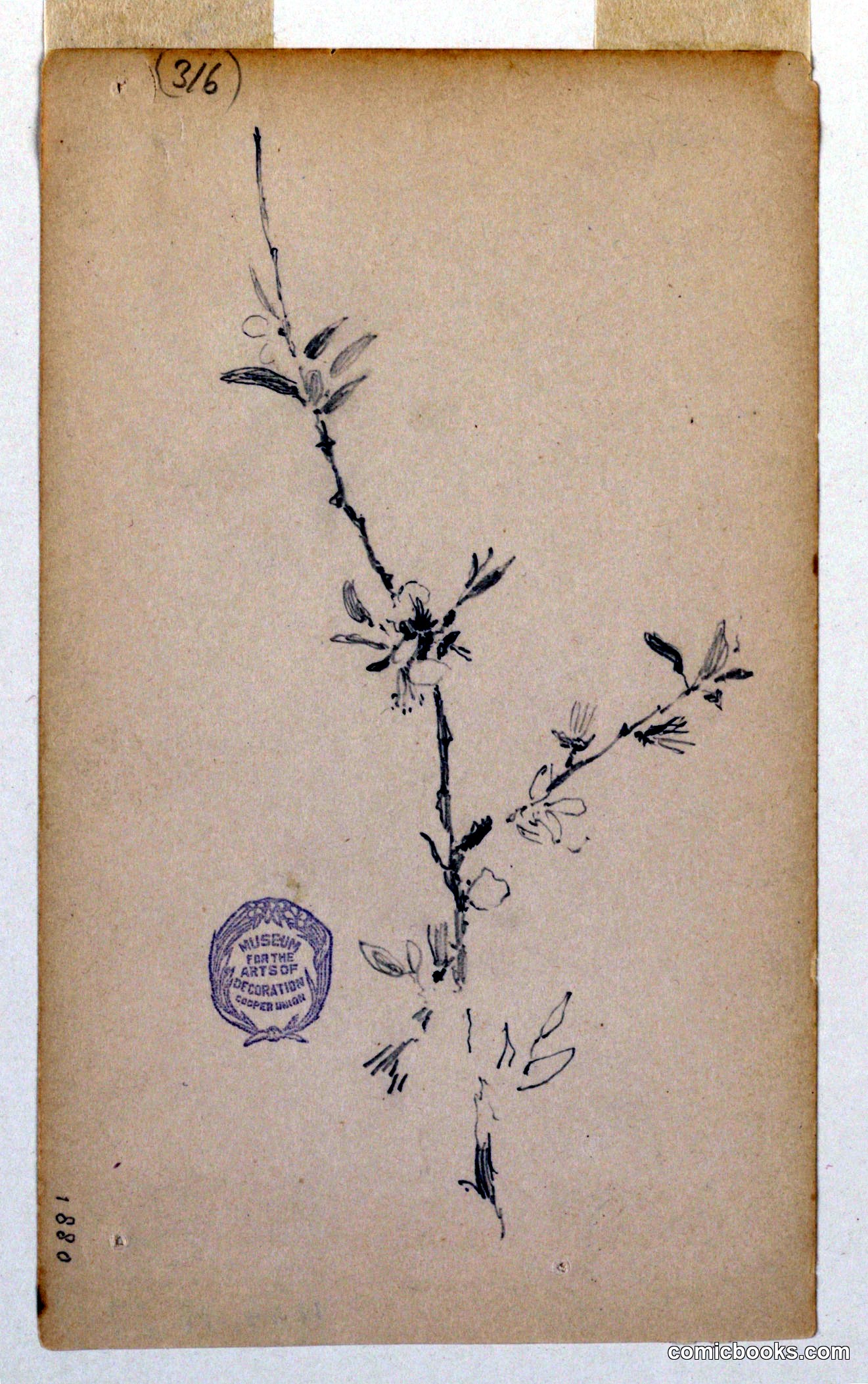 Plant Study