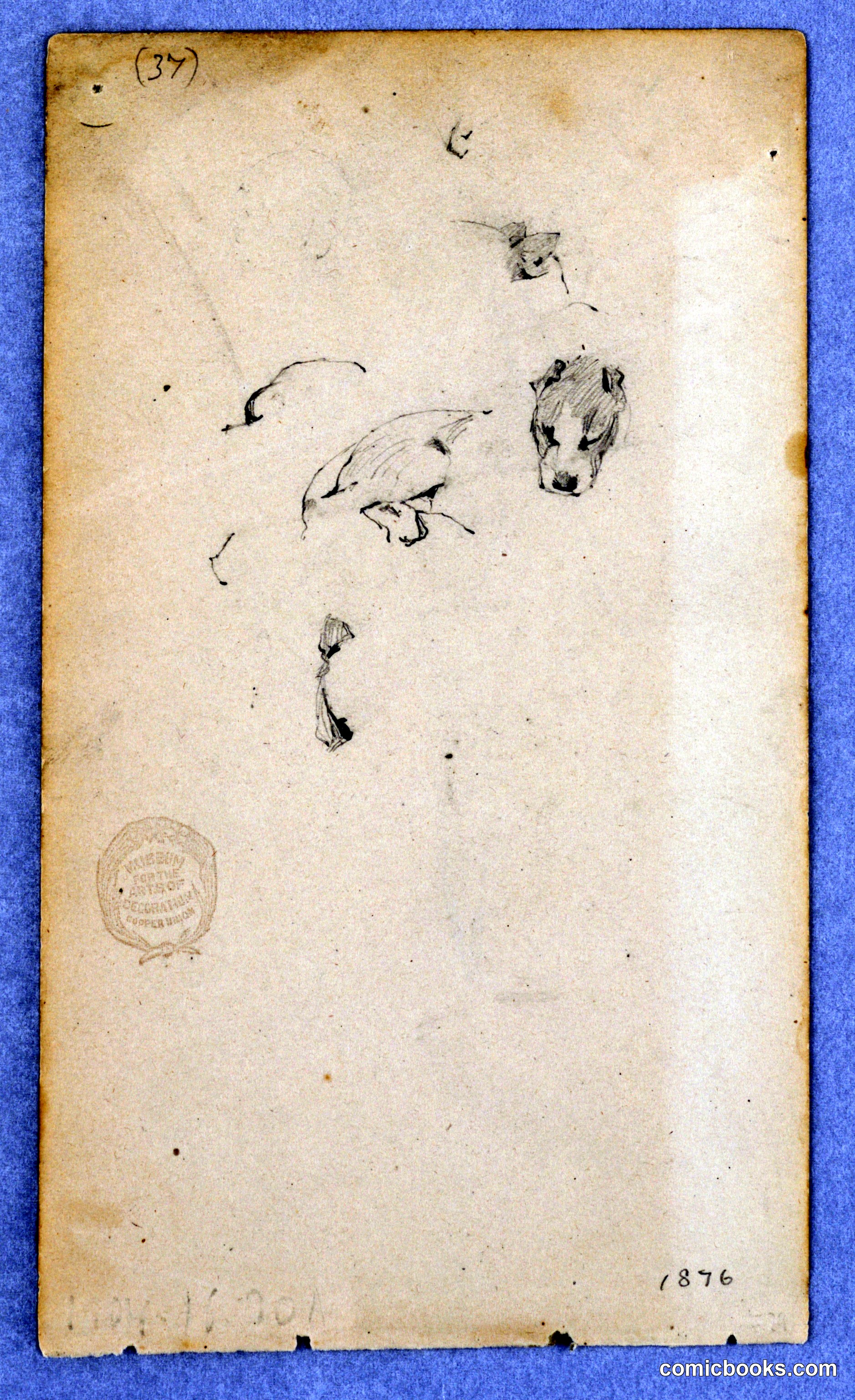 Dog Studies