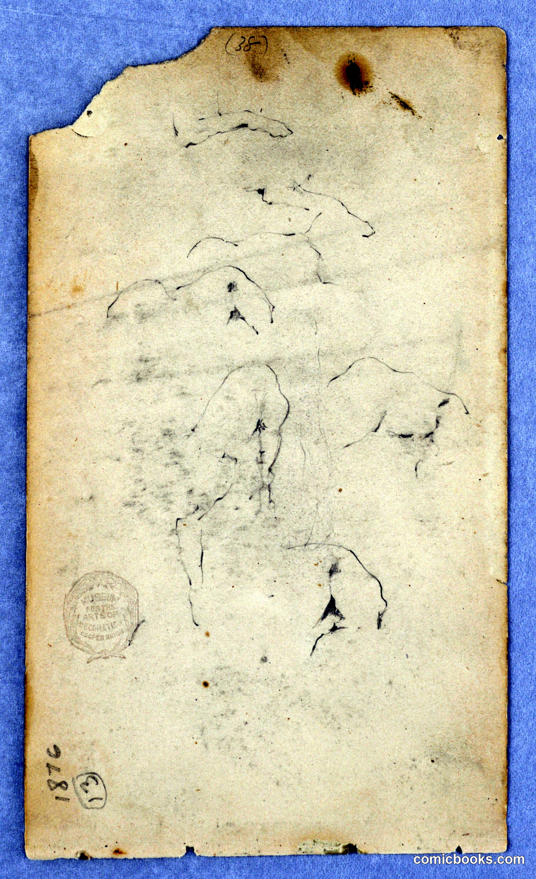 Study of a Dog
