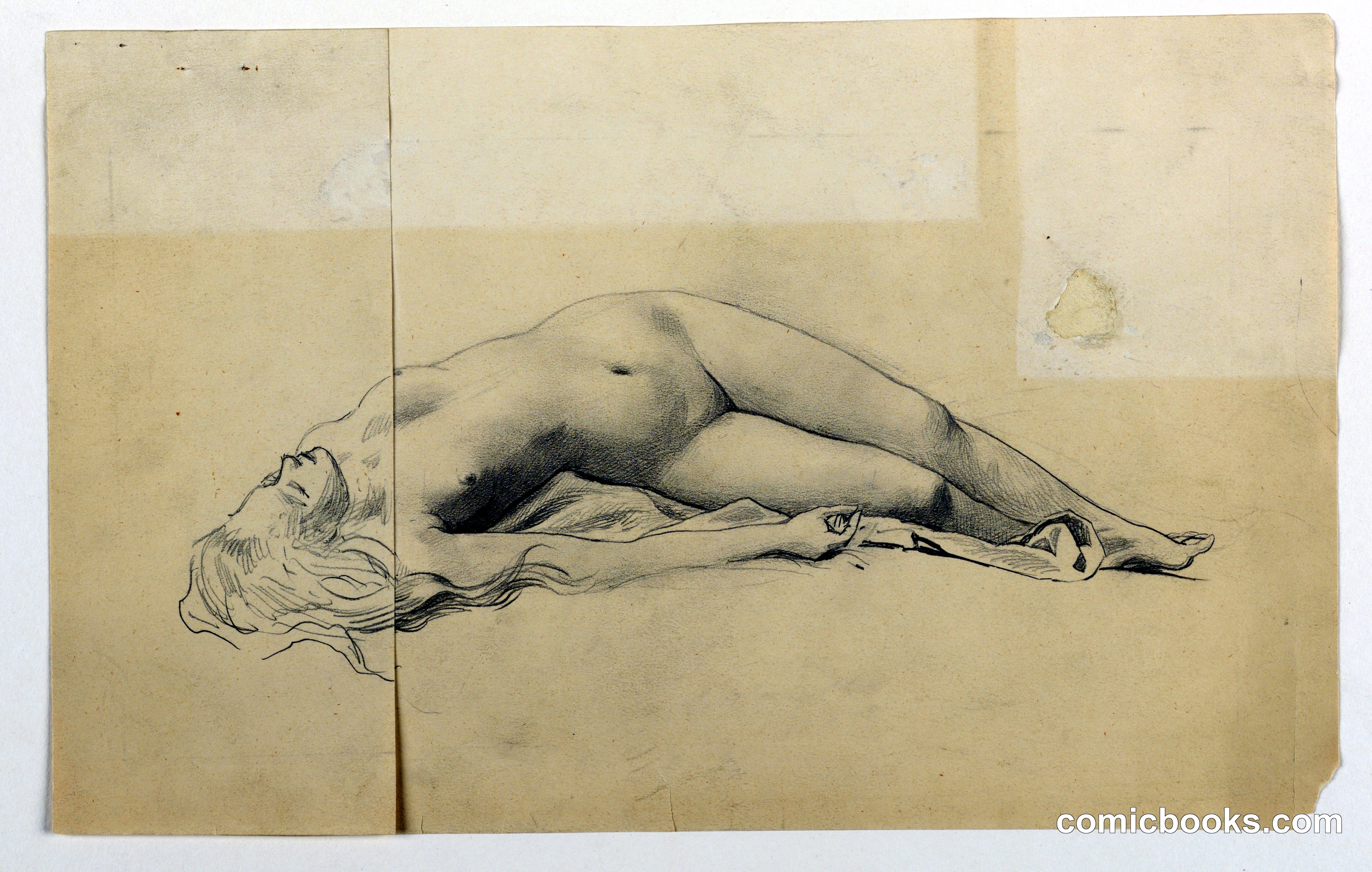 Female Nude Study