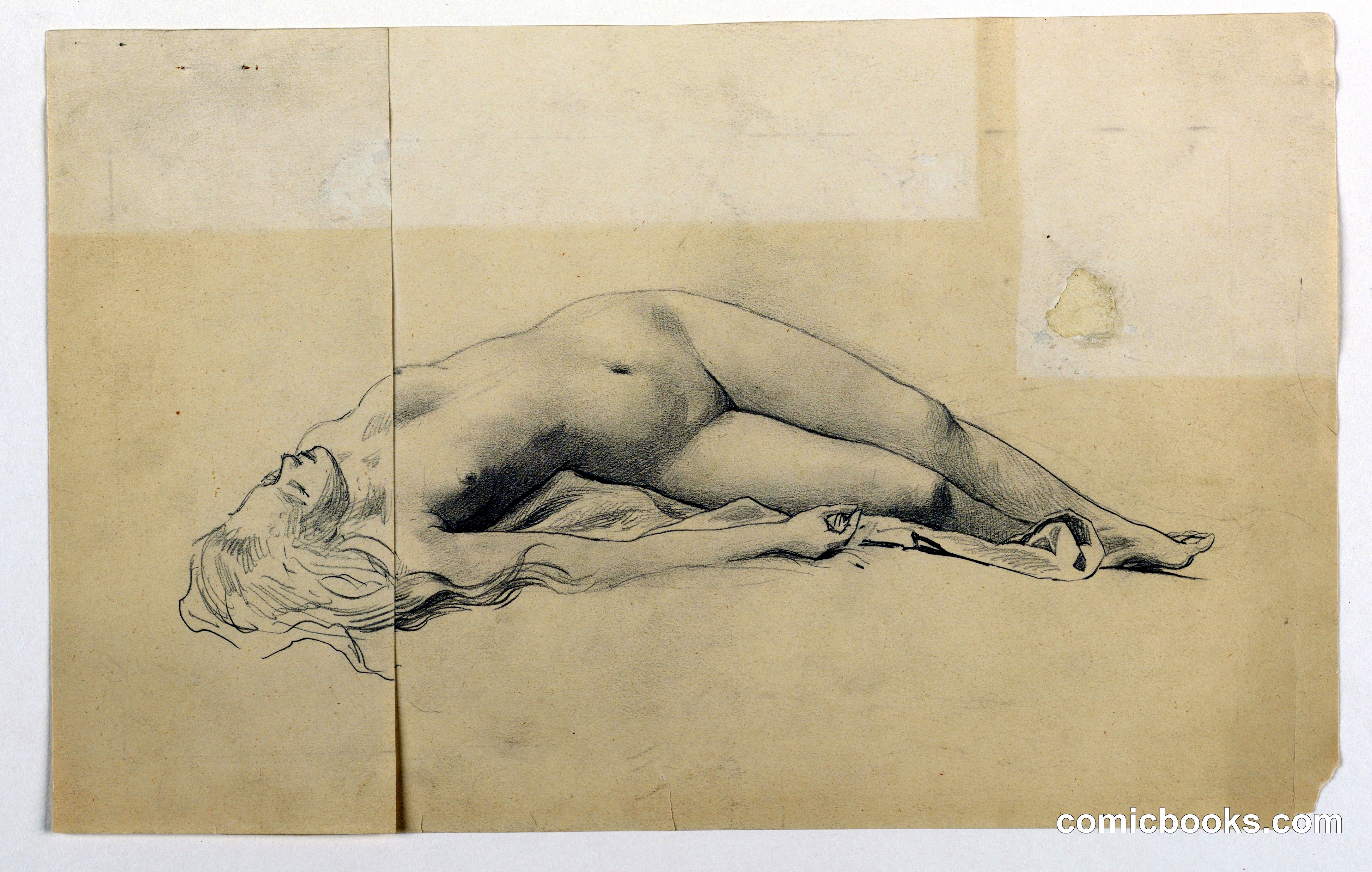 Female Nude Study
