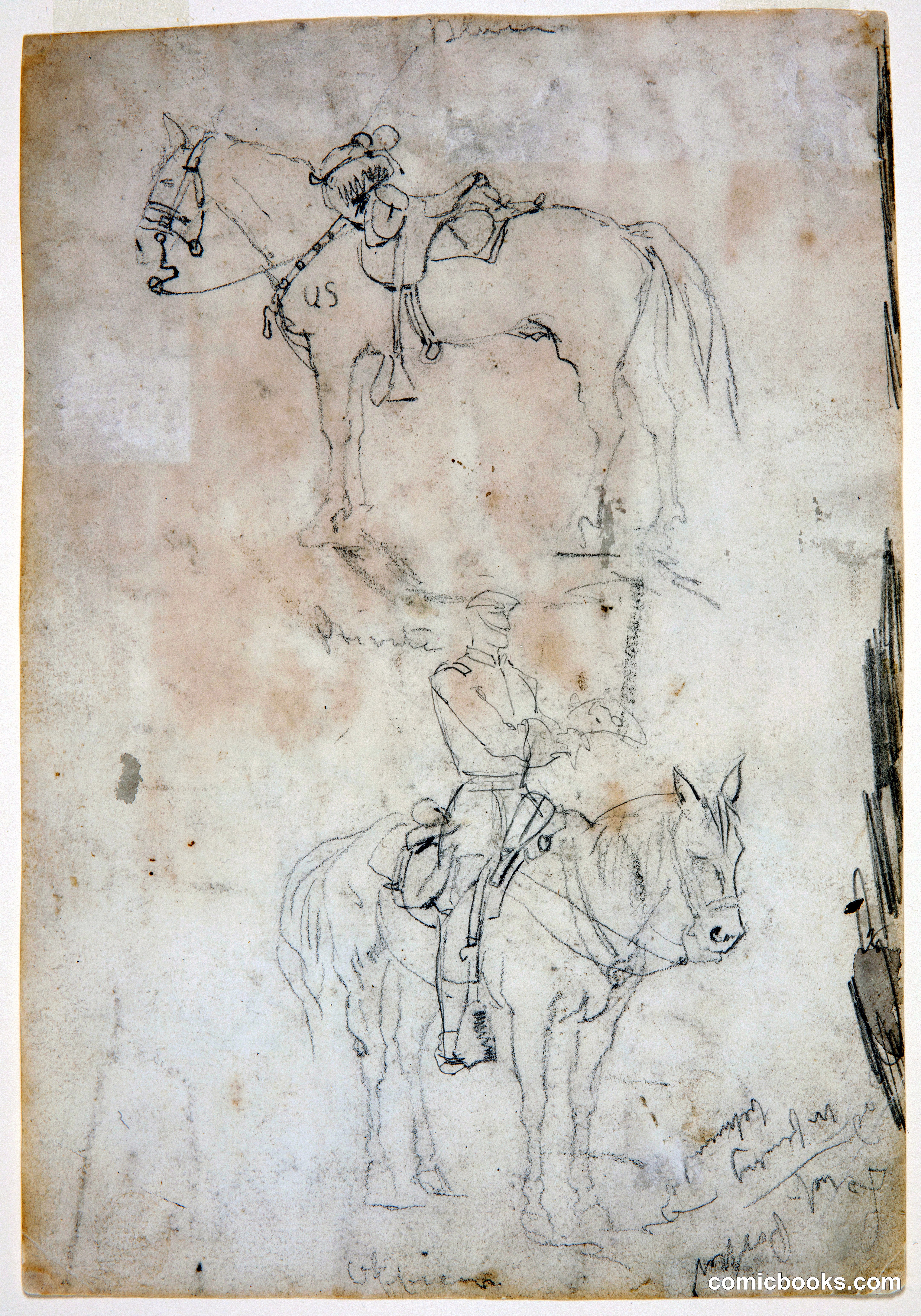 Two Horses, One Mounted