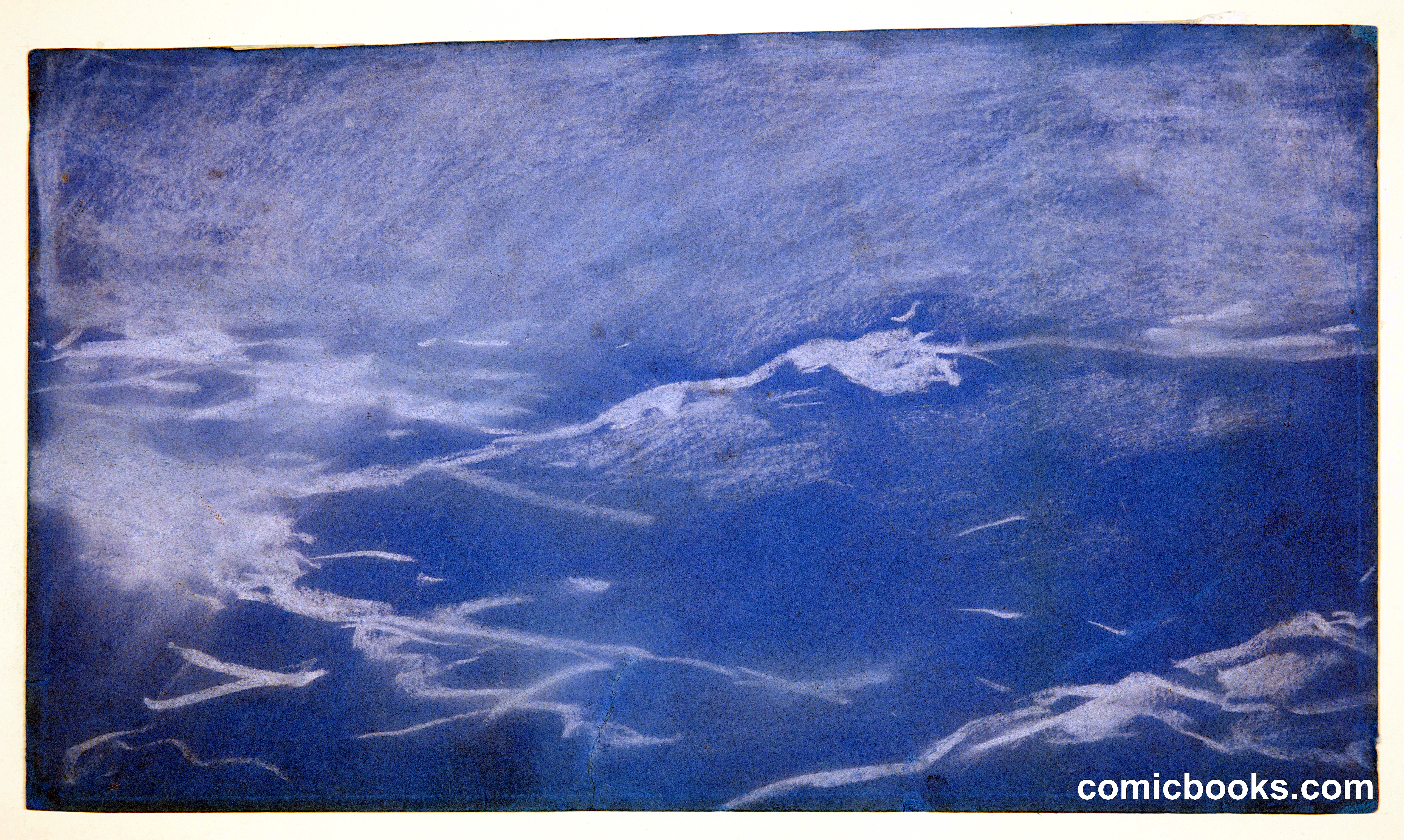 Seagull and Waves