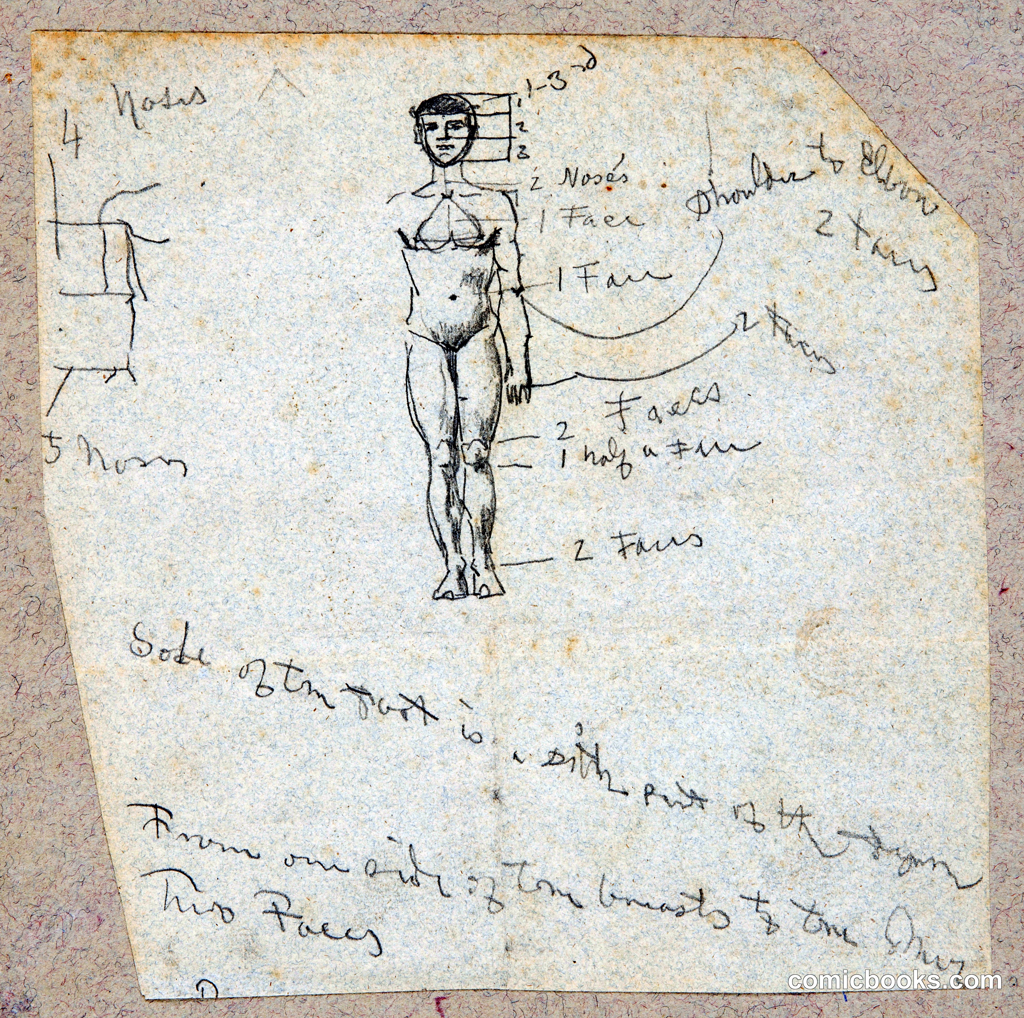 Anatomical Study with Figure Notation