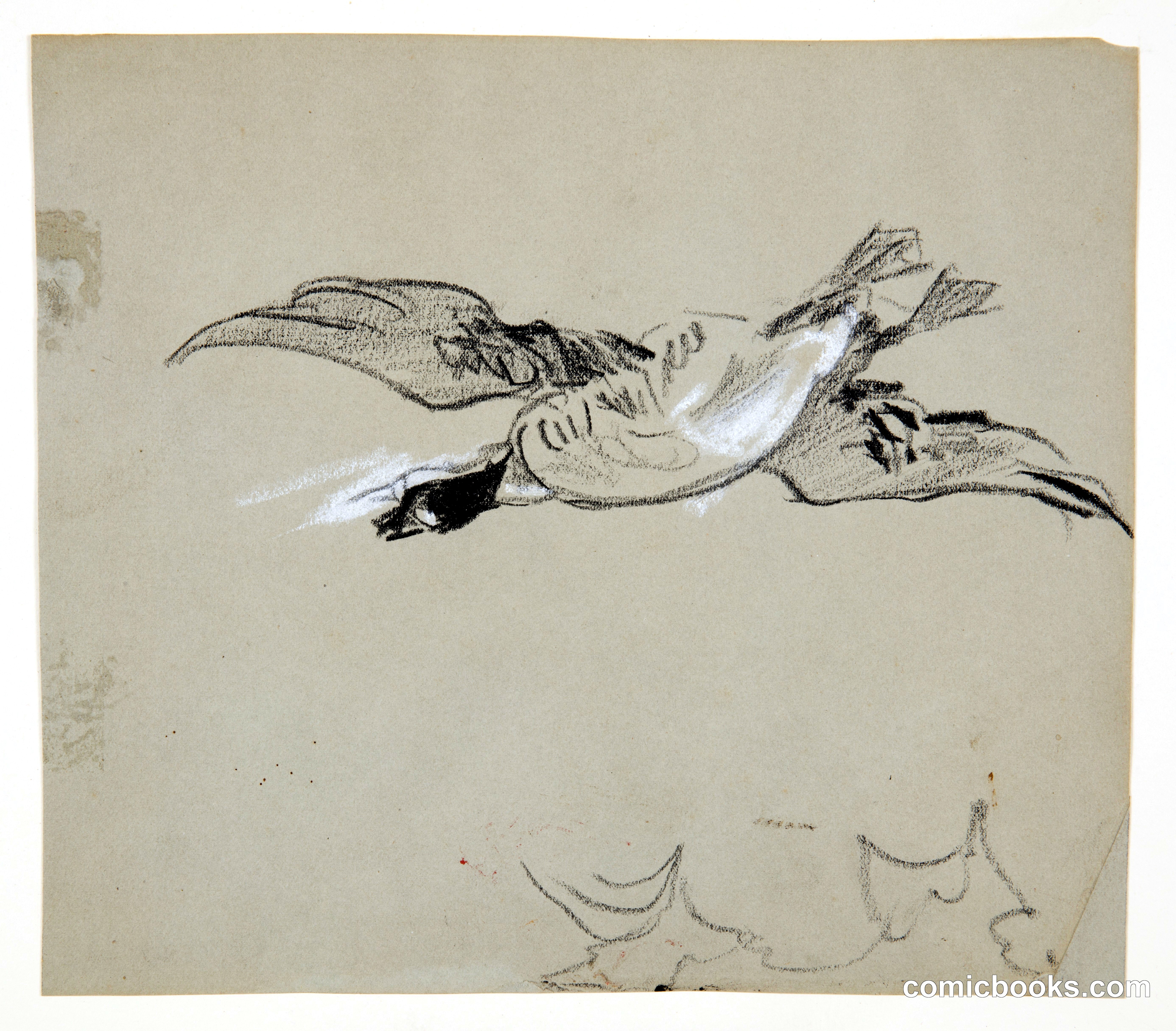 Wild Goose in Flight