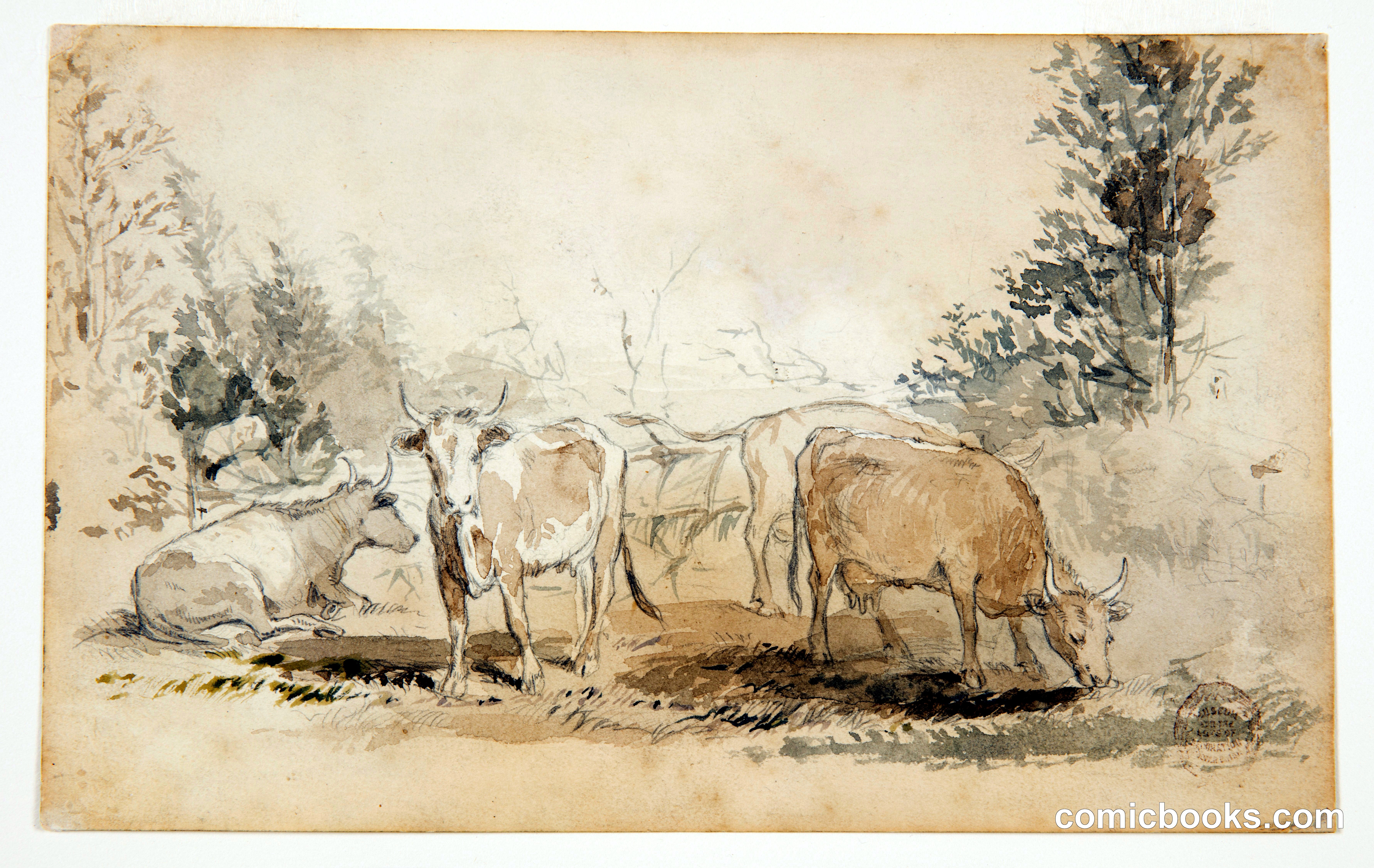 Cows in a Pasture