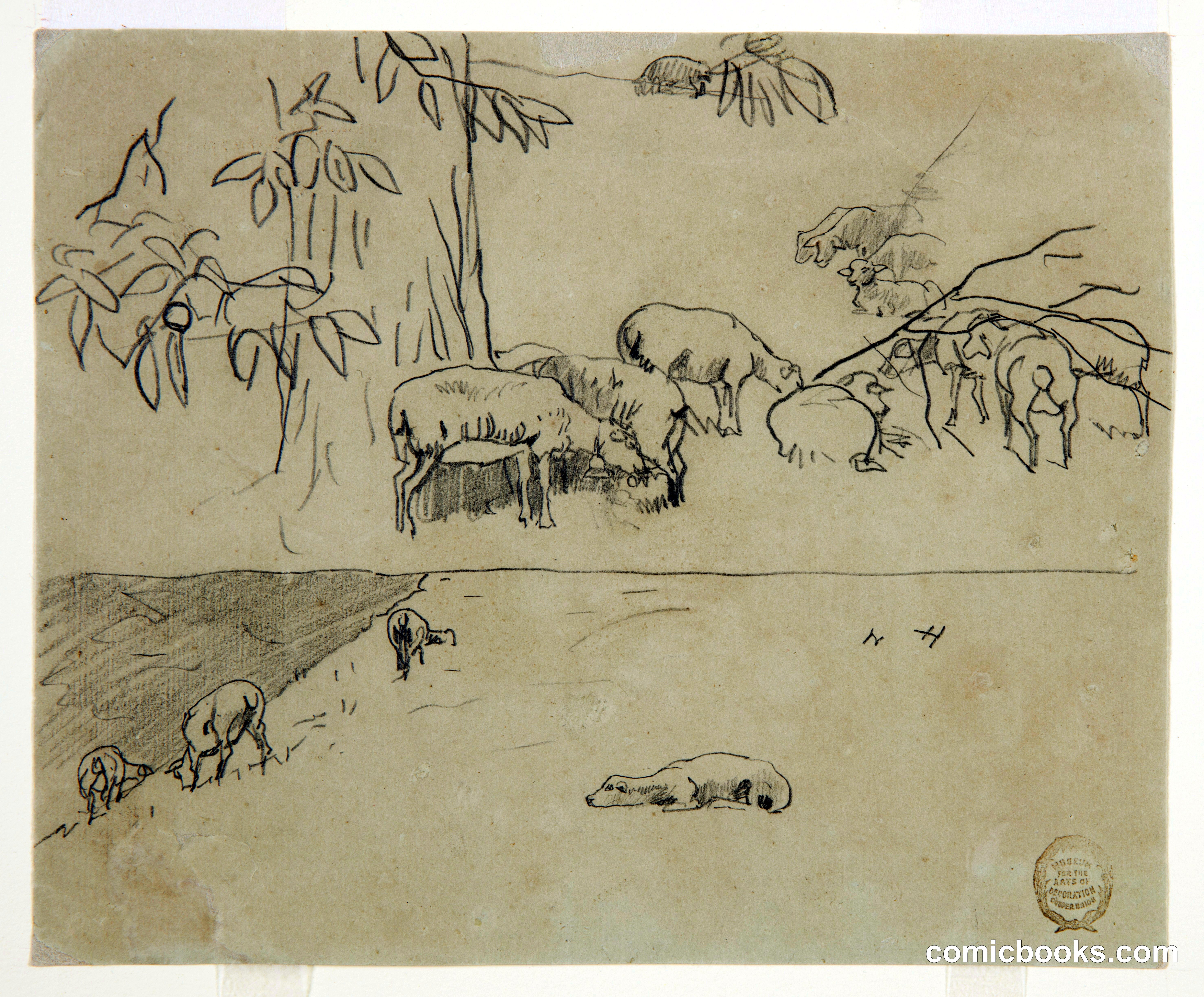 Sheep Grazing
