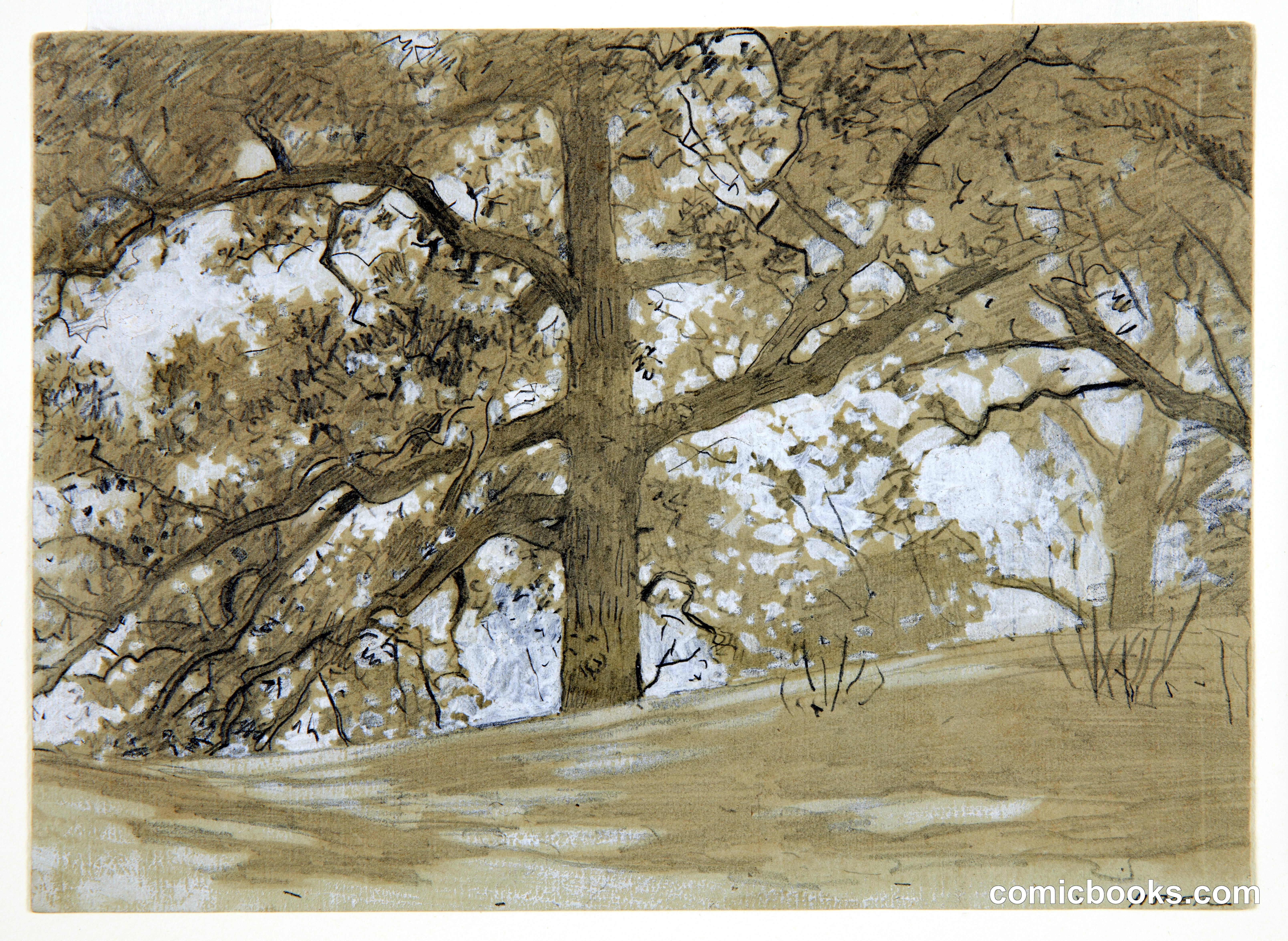 Waverly Oaks