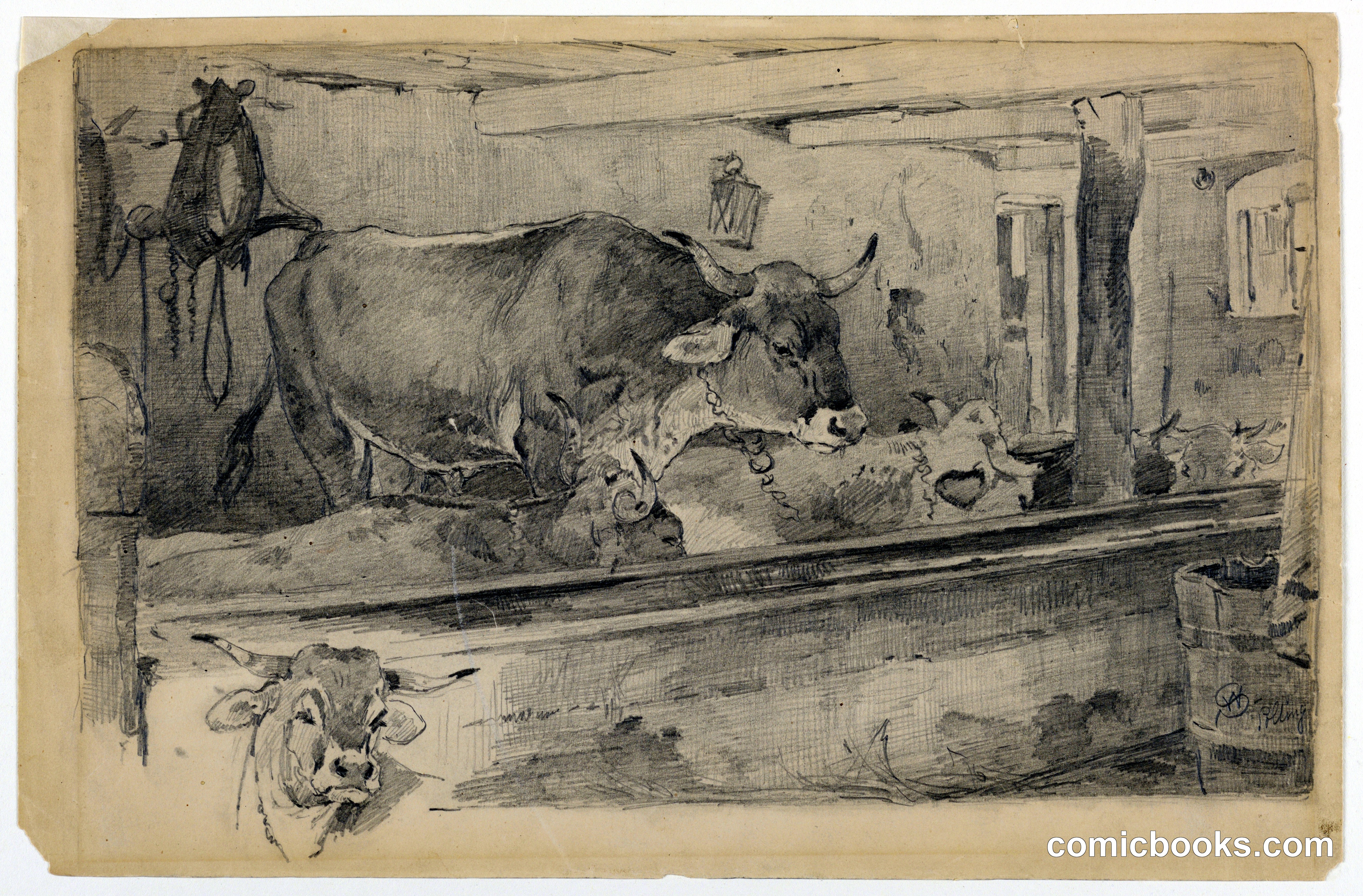 Cattle Study for Sheep-Shearing