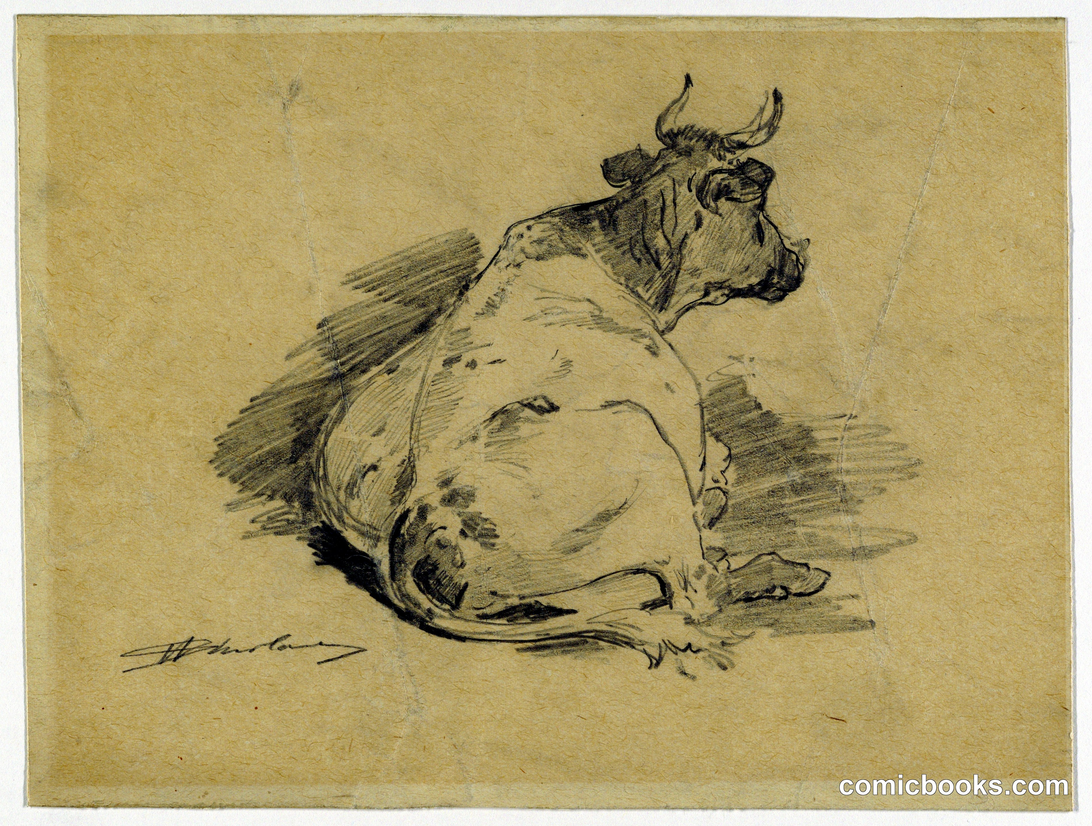 Study of a Lying Cow