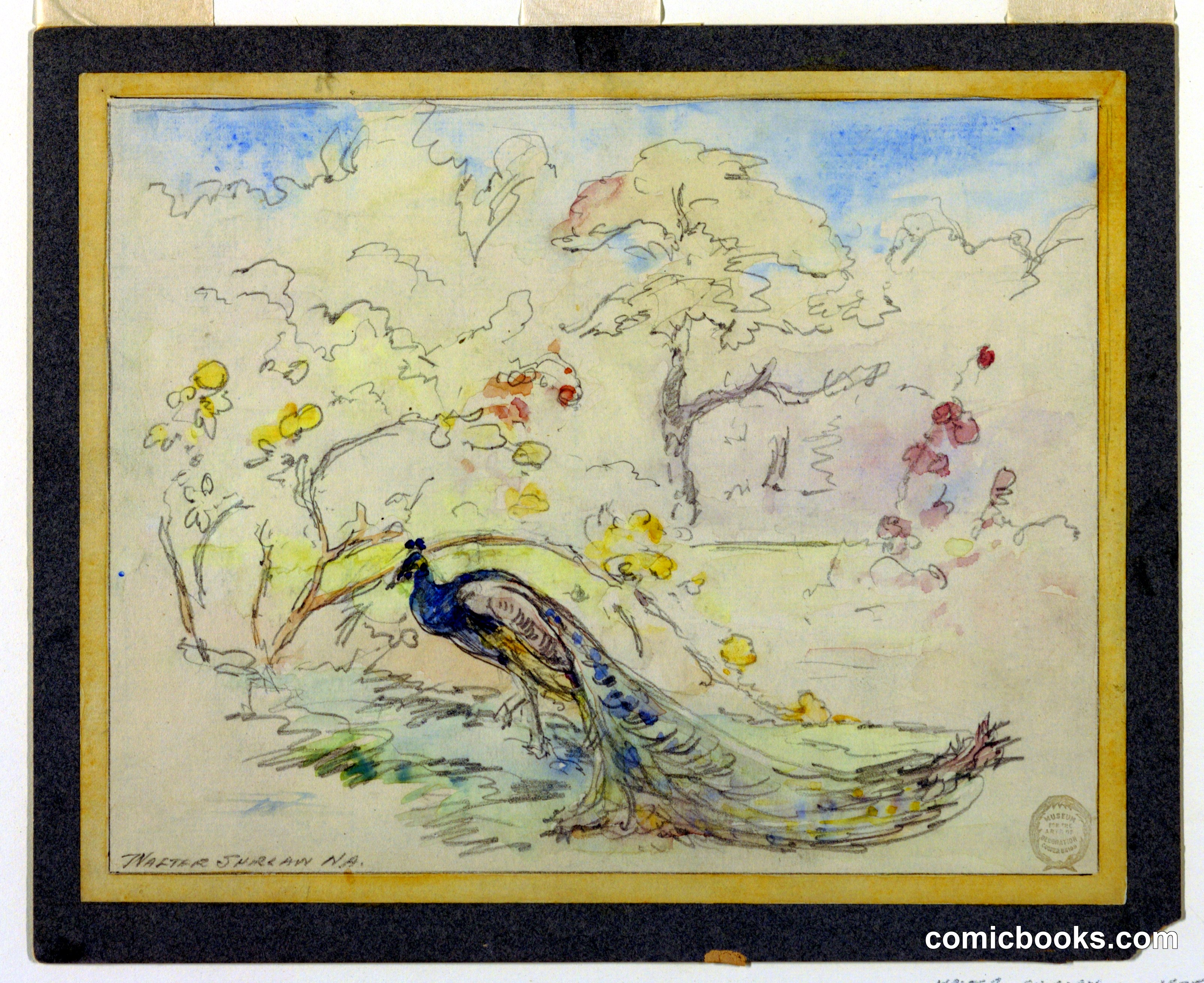 Peacock in a Garden