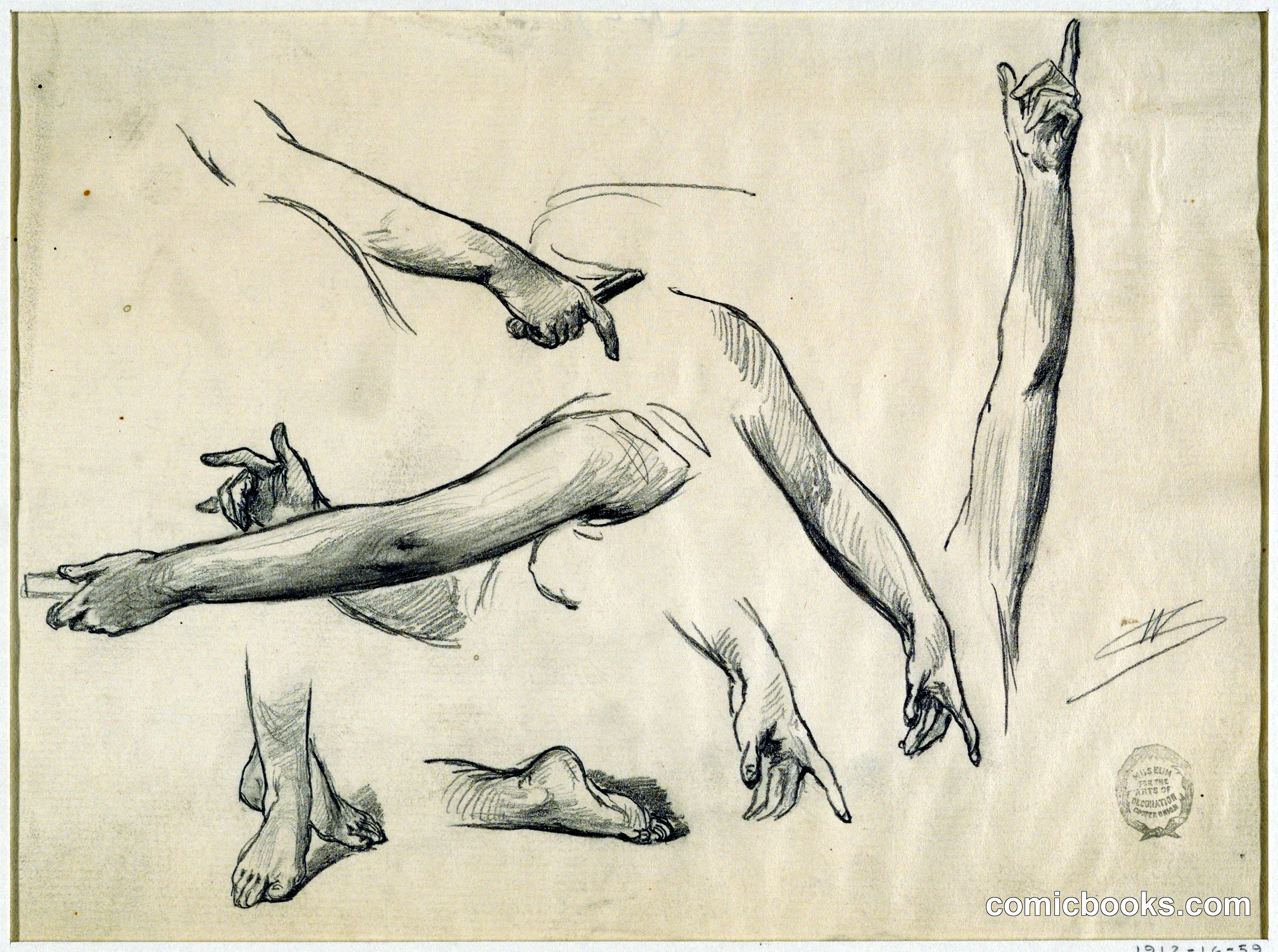 Studies of a Woman's Limbs