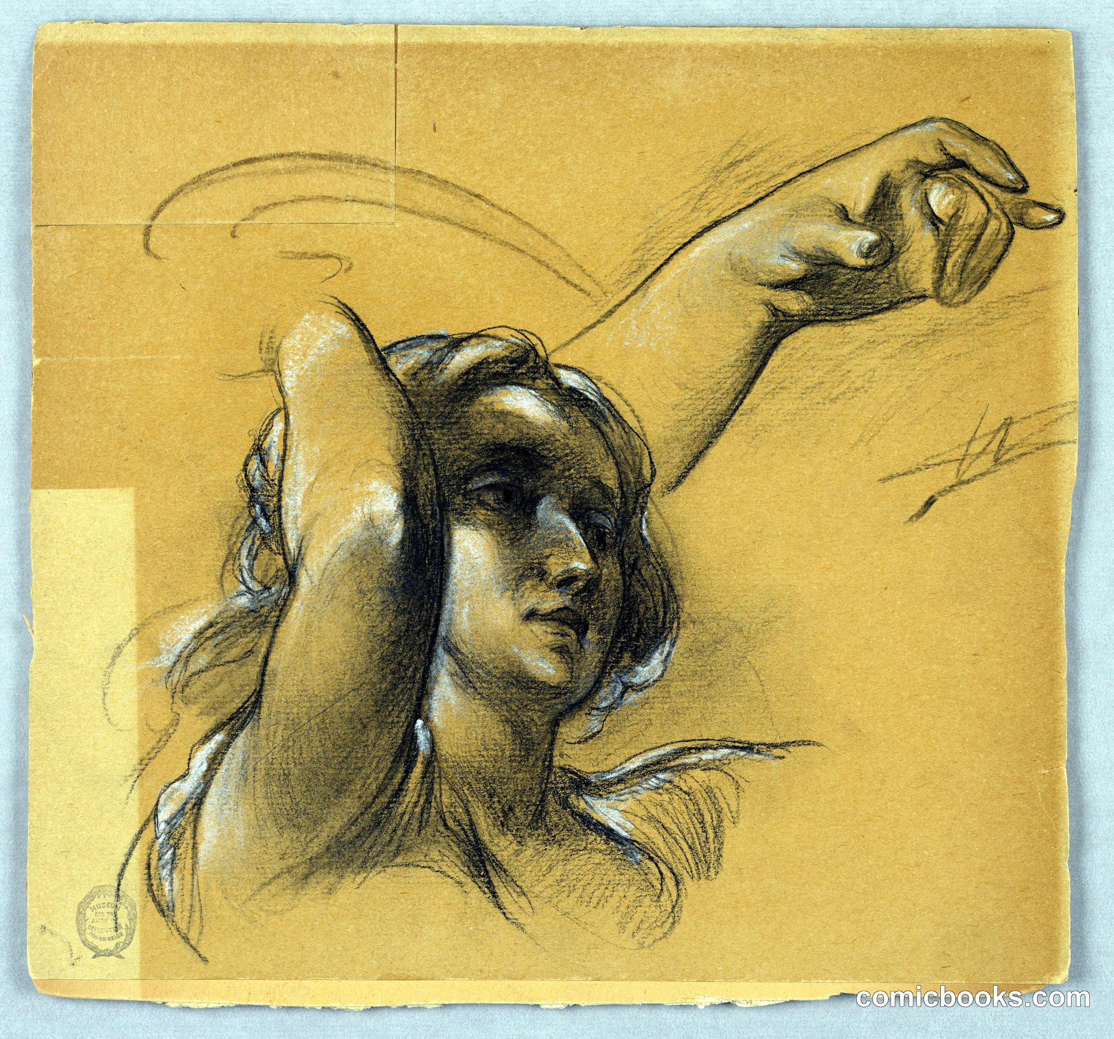 Study of the Head and Arms of a Figure
