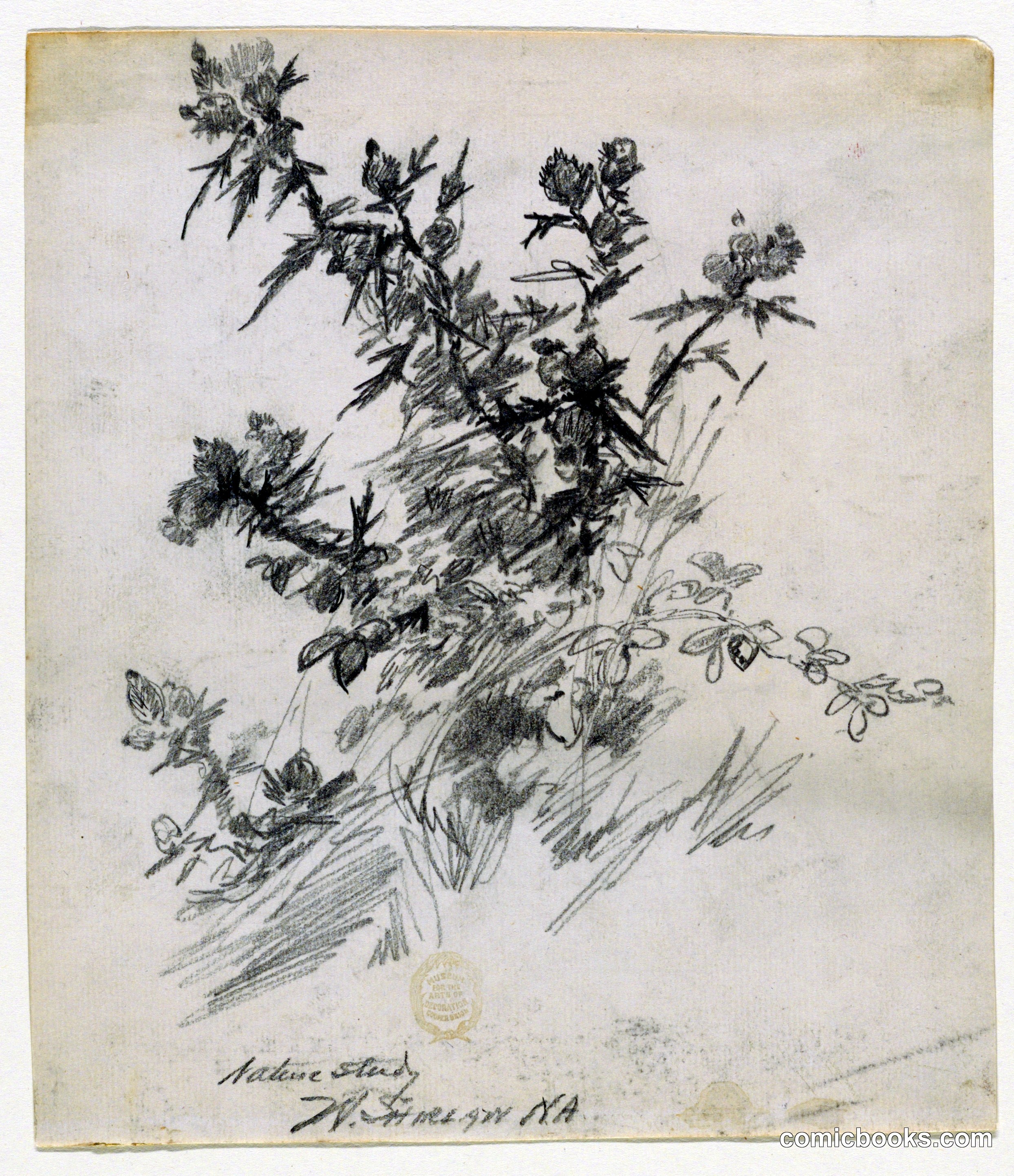 Nature Study