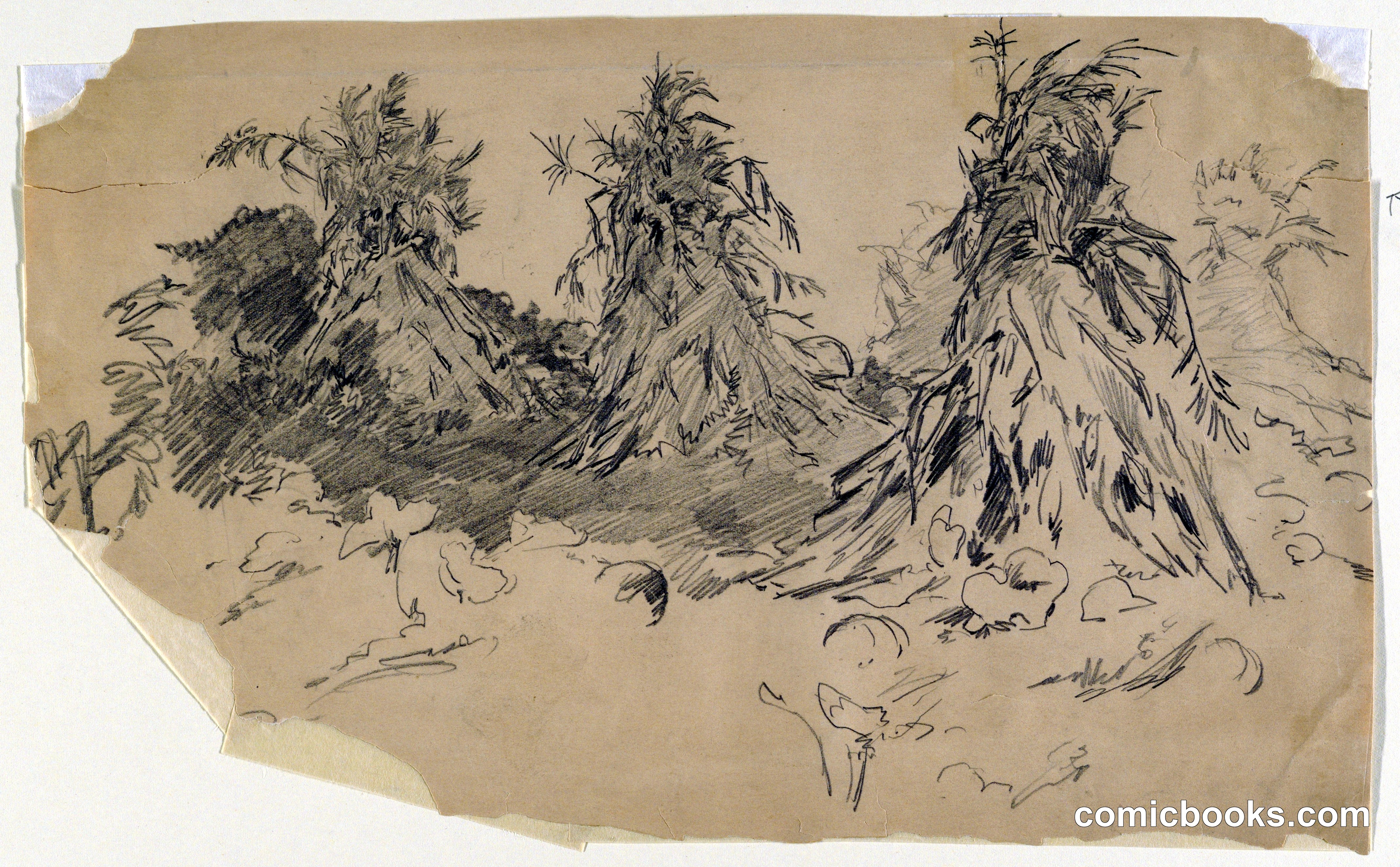 Study of Cornstalks