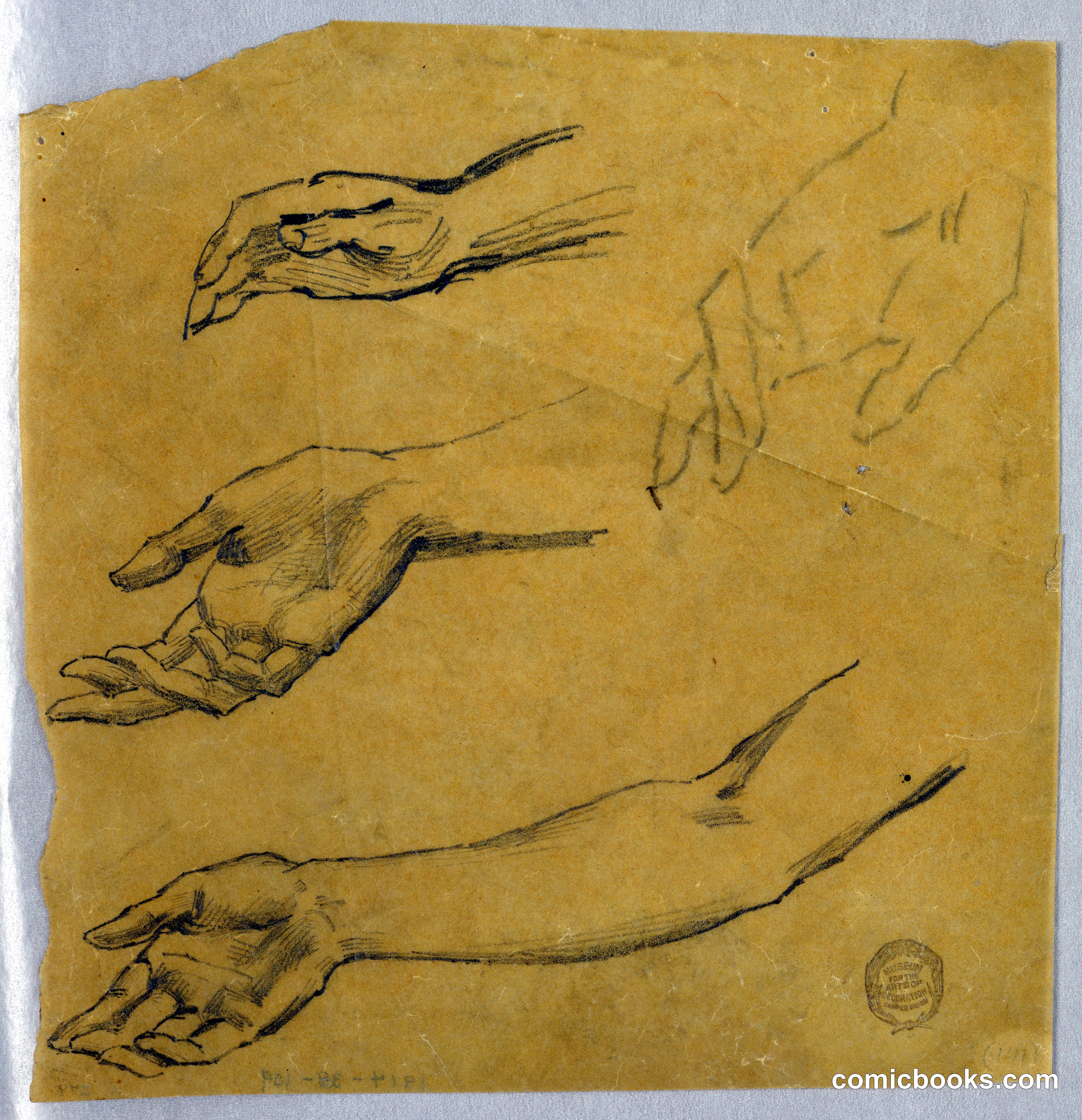 Three Studies of a Hand and Arm