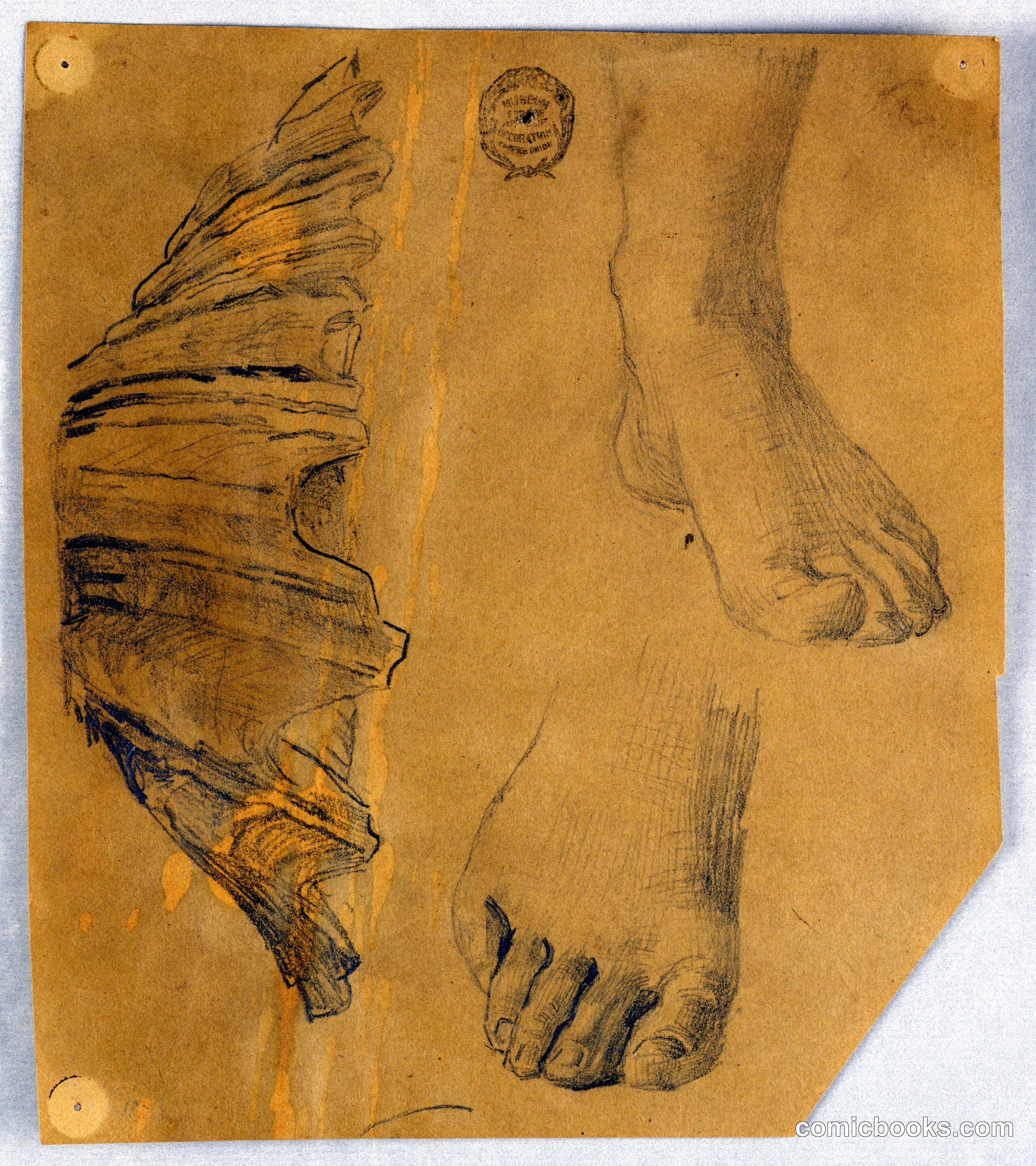 Studies of Feet, and a Fluted Shell
