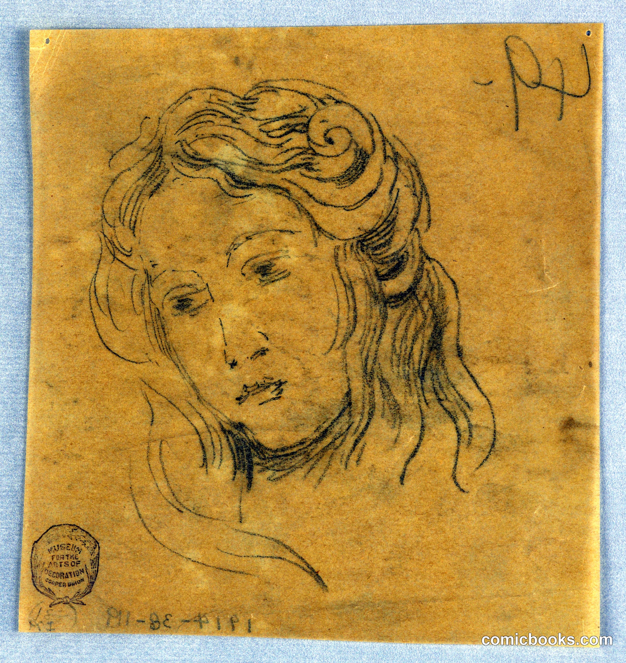 Study of a Woman's Head
