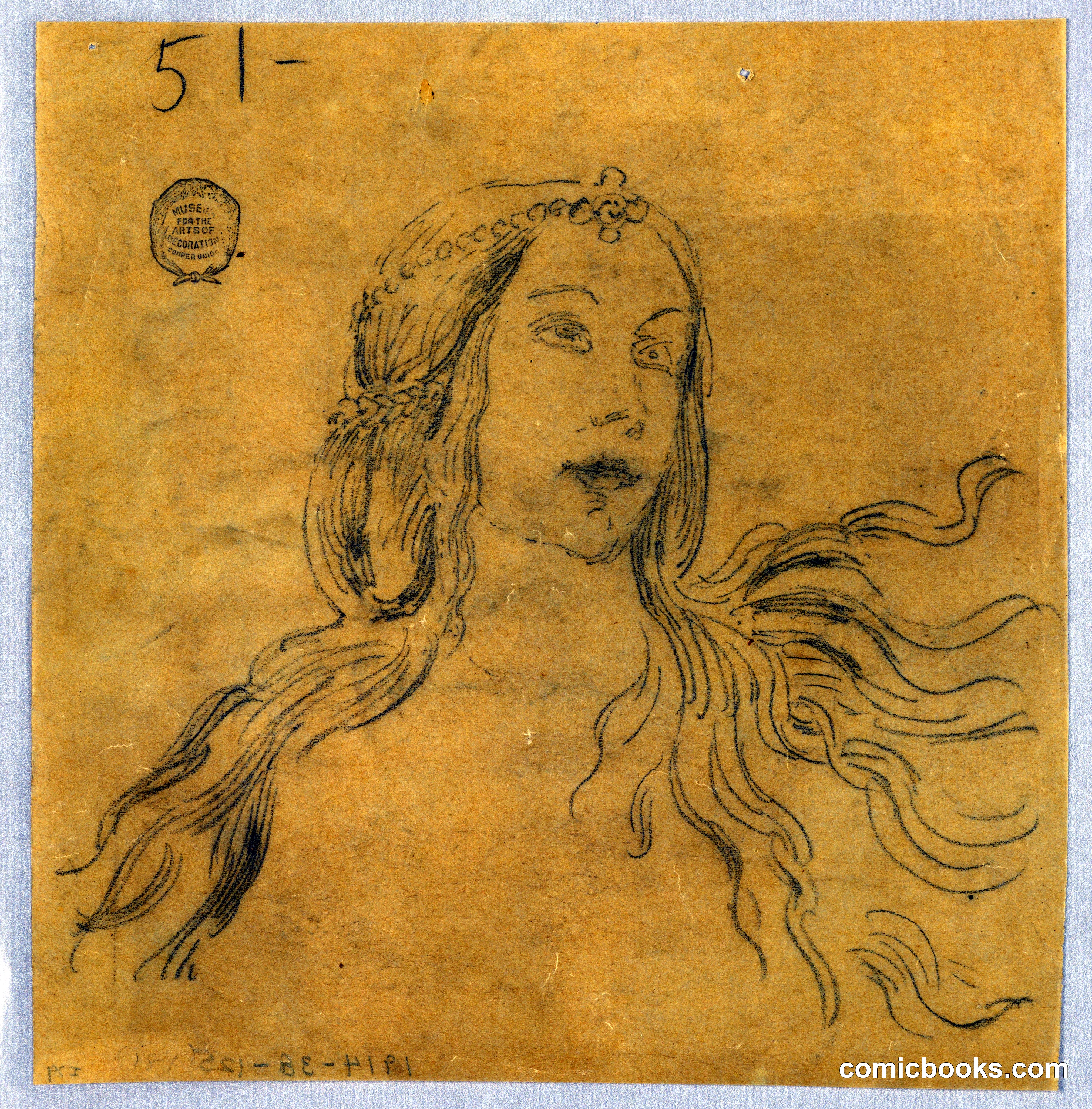 Study of a Woman's Head