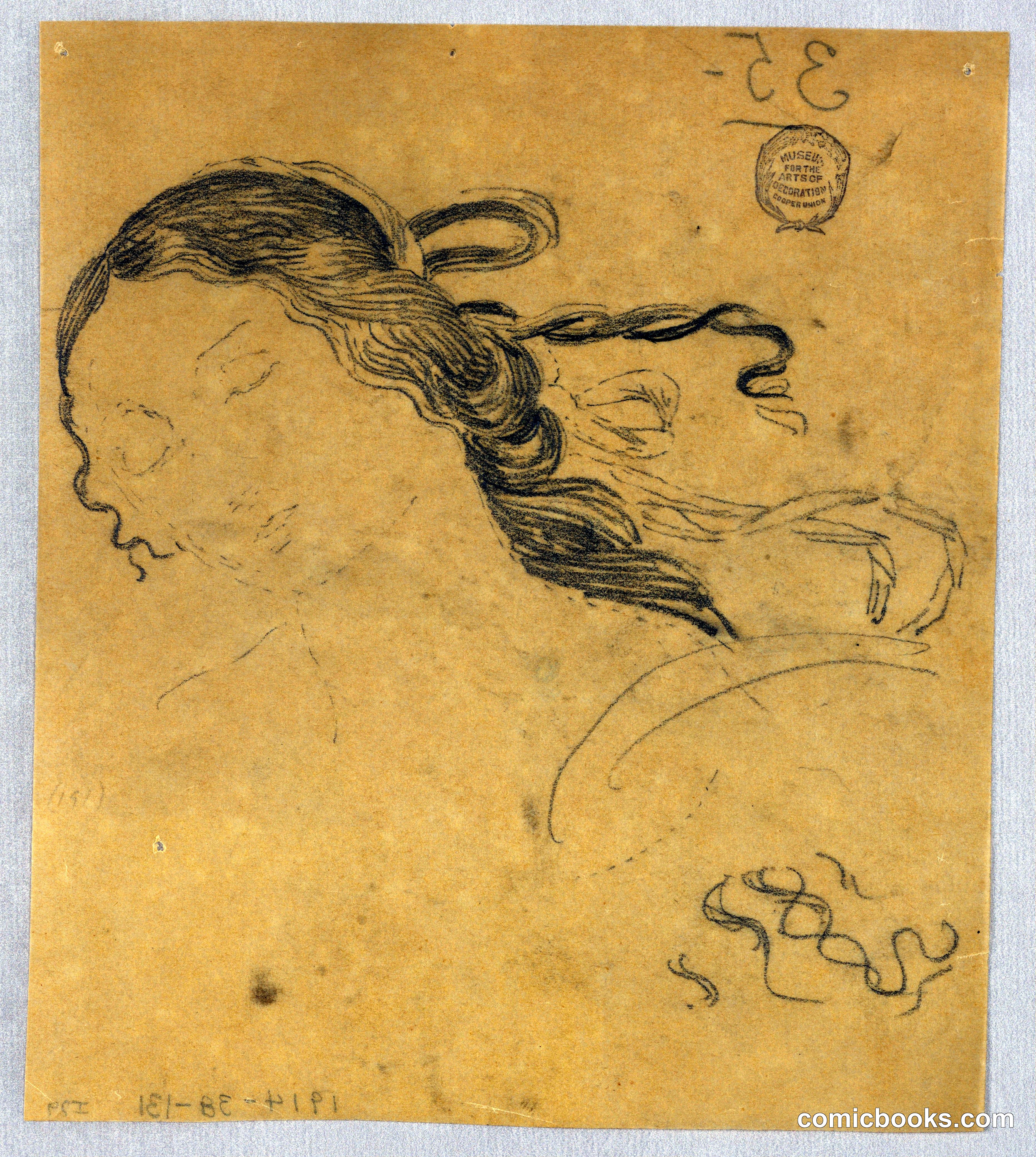 Study of Woman's Hair