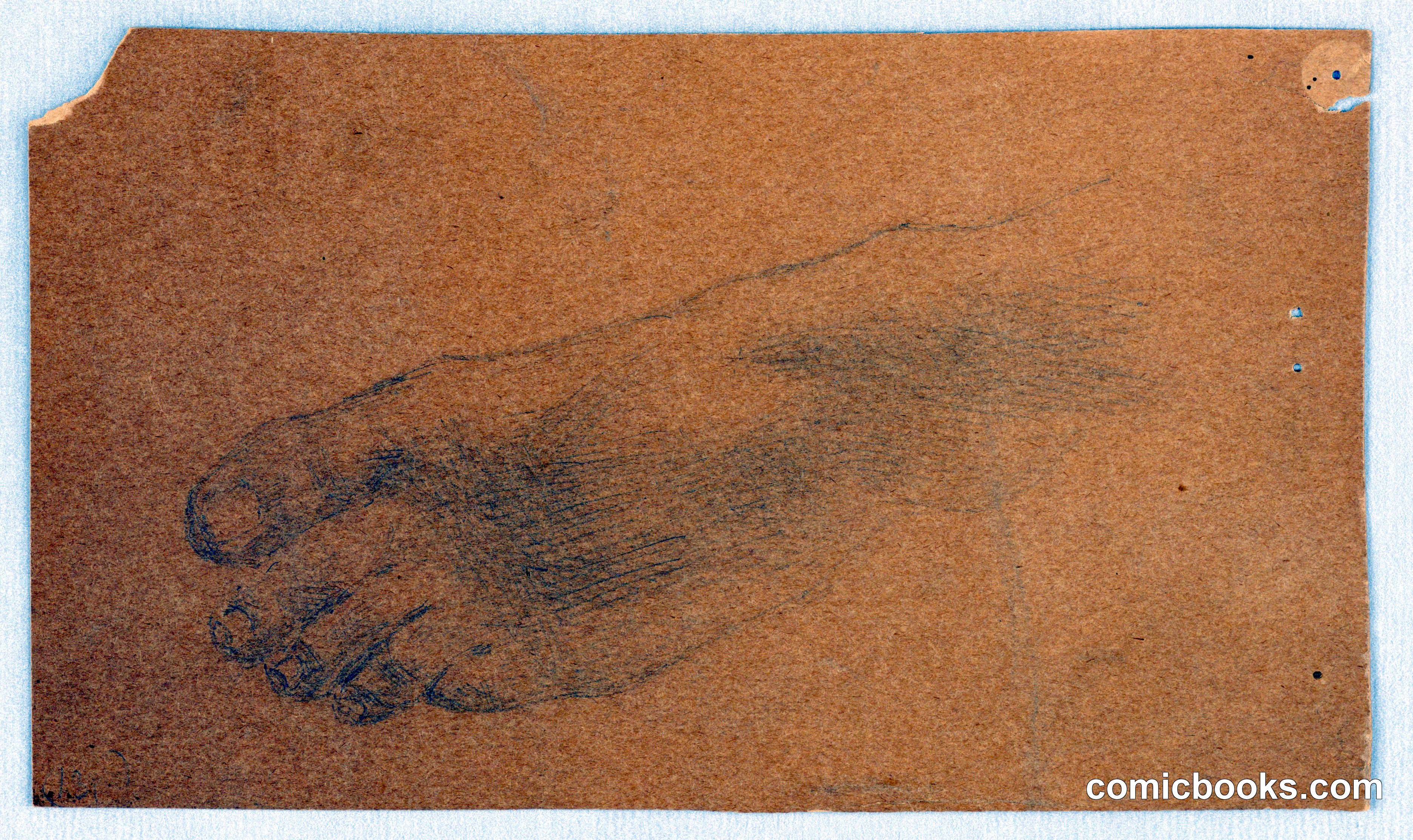 Study of a Foot