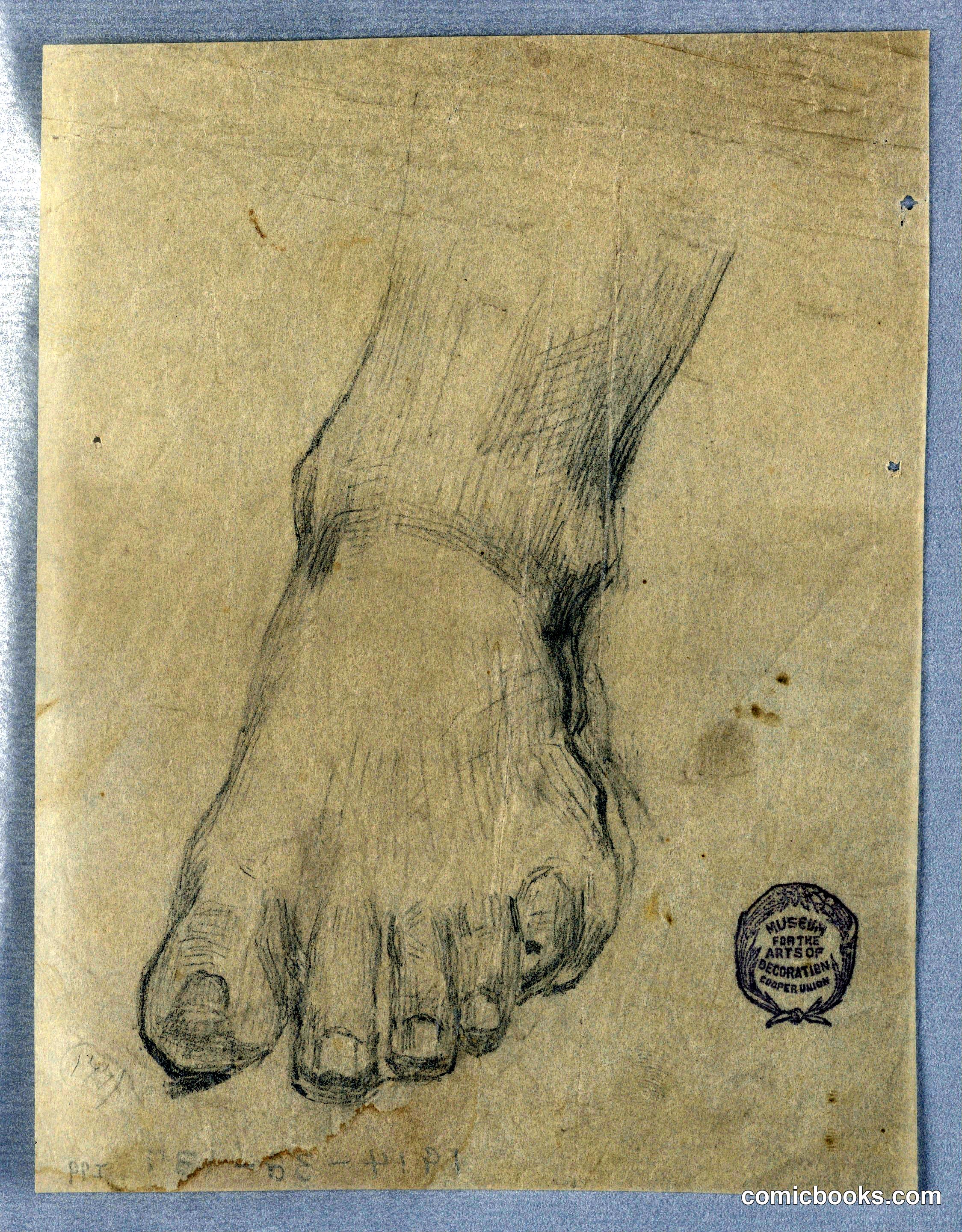 Study for a Foot