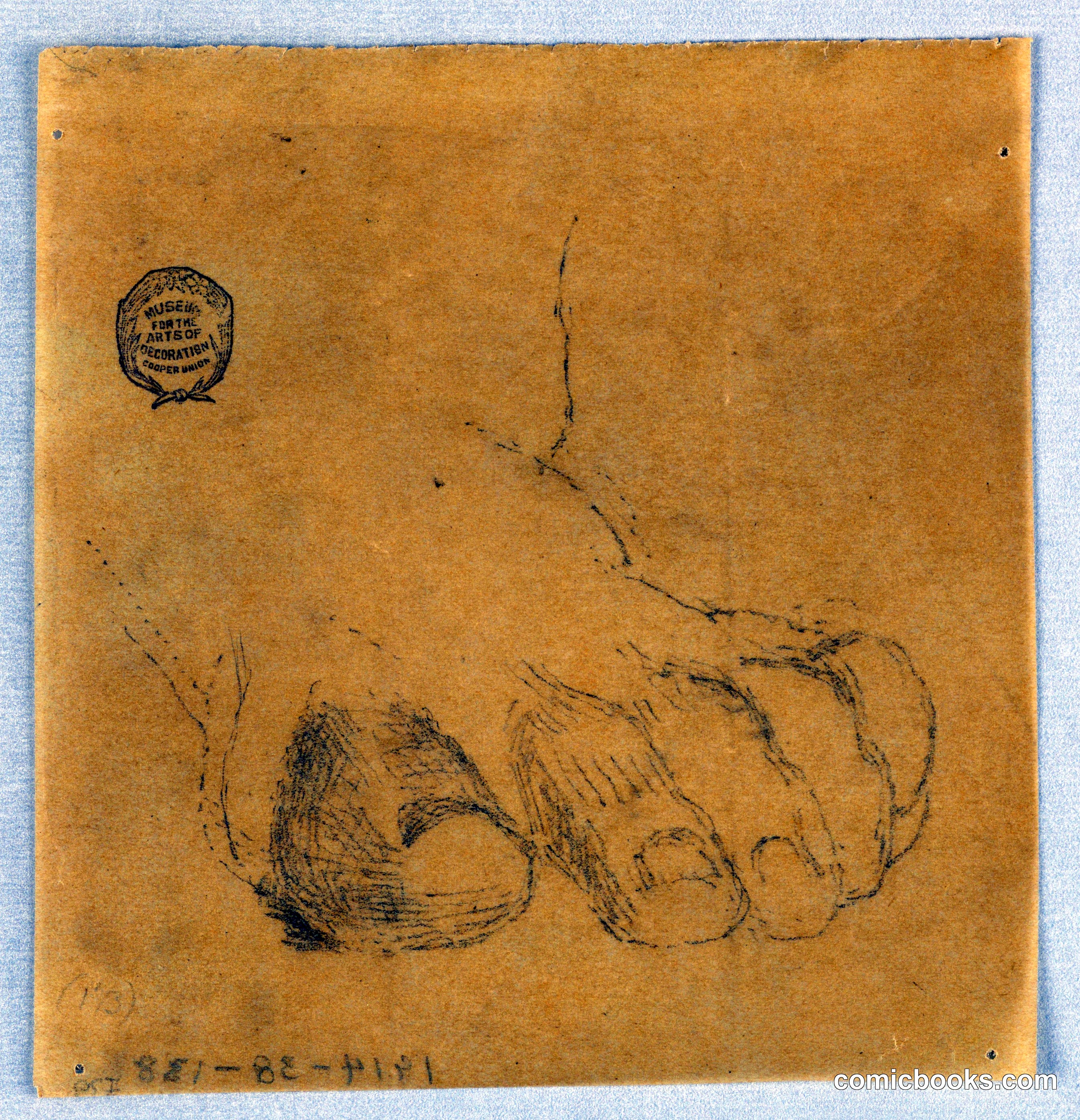 Study of Toes