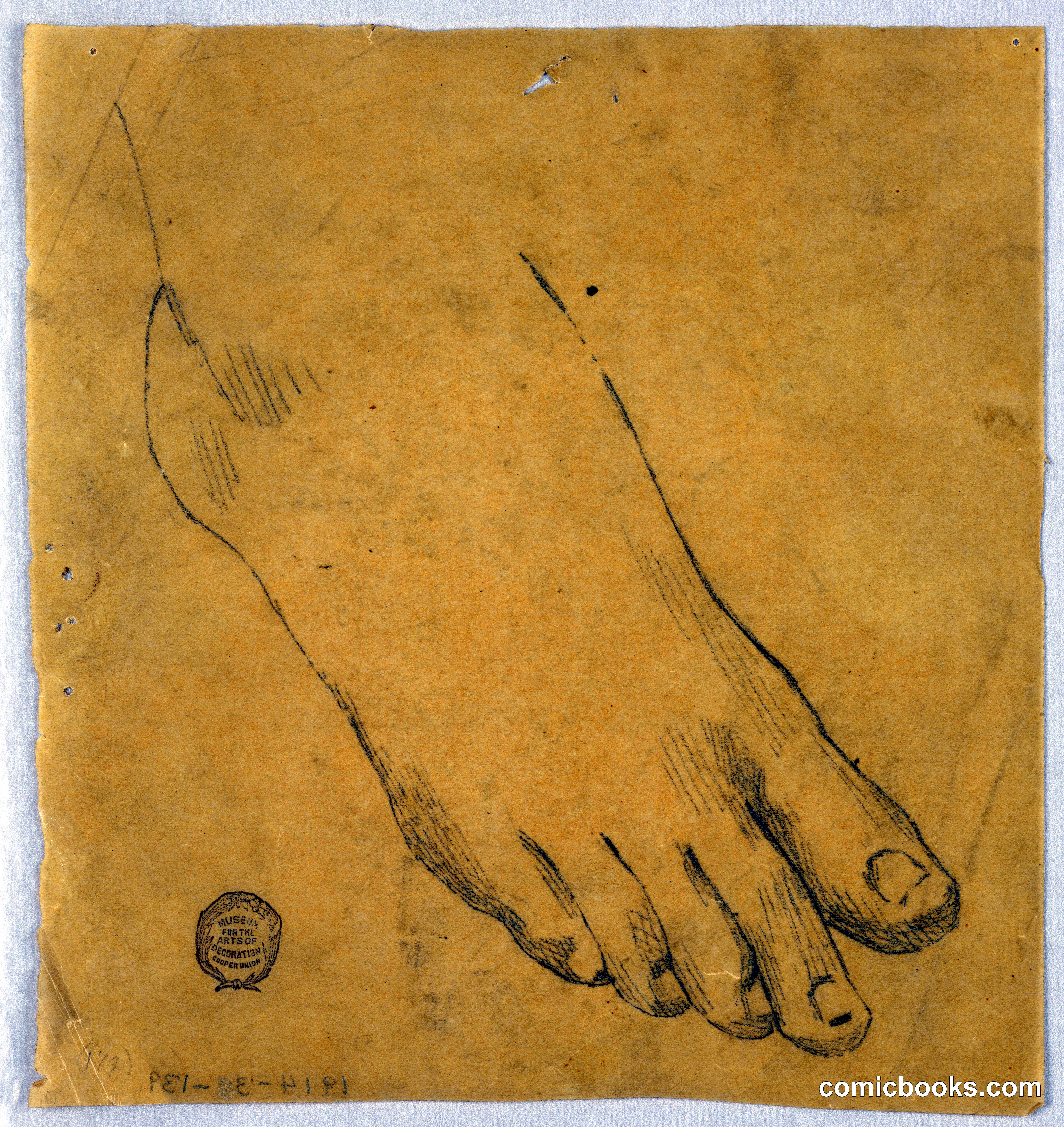 Study of a Right Foot
