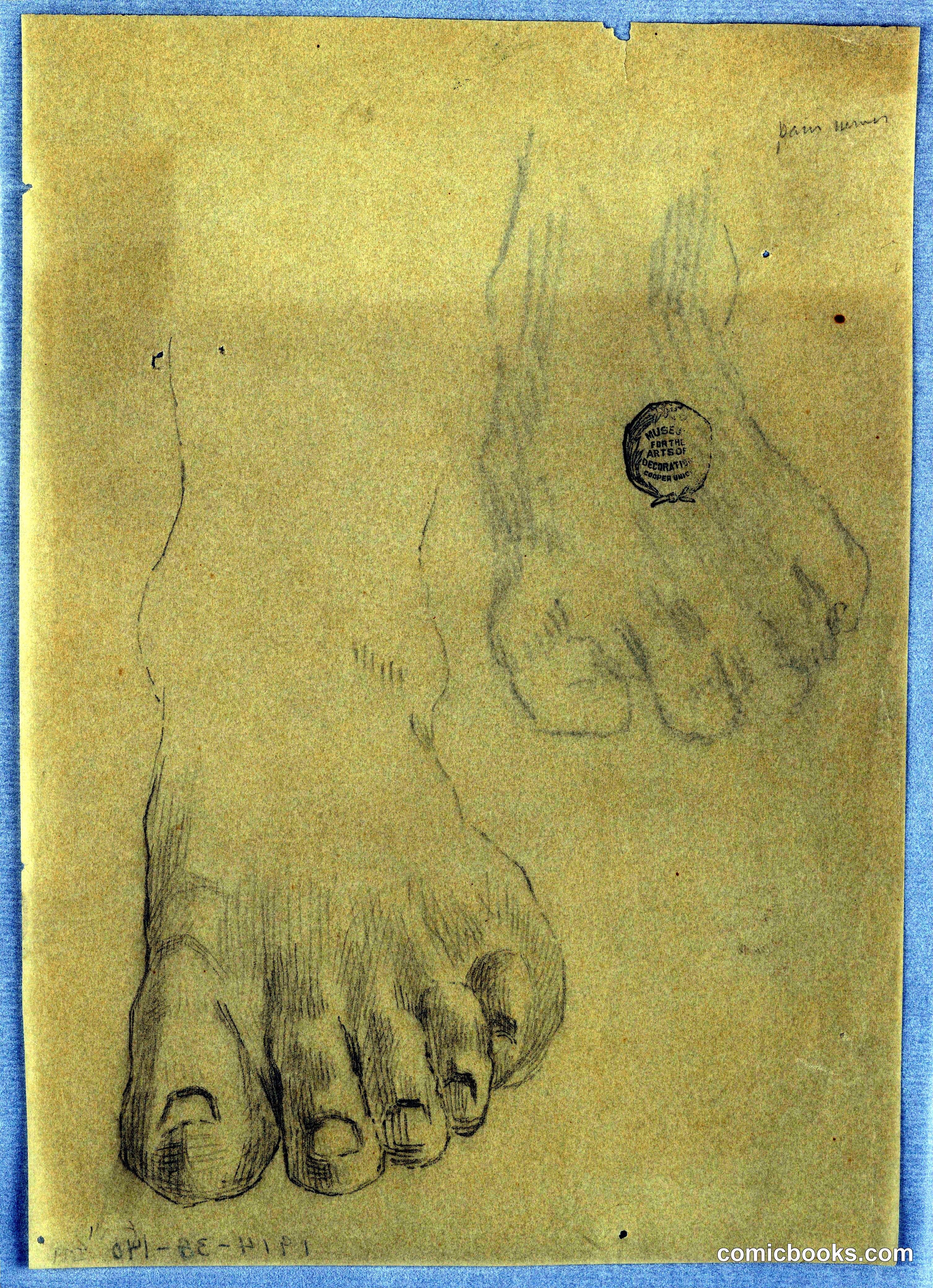 Study of a Left Foot