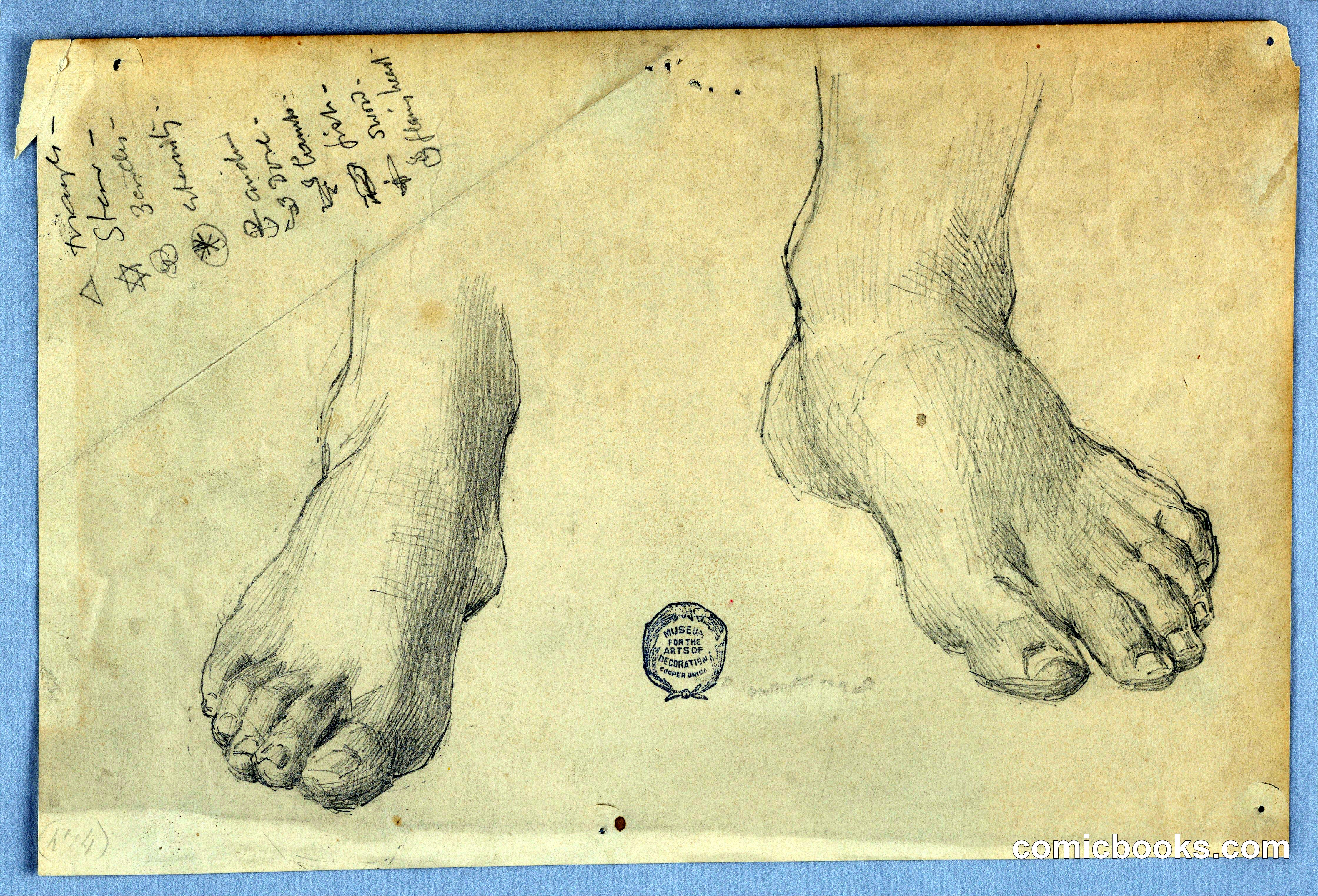 Study of Feet