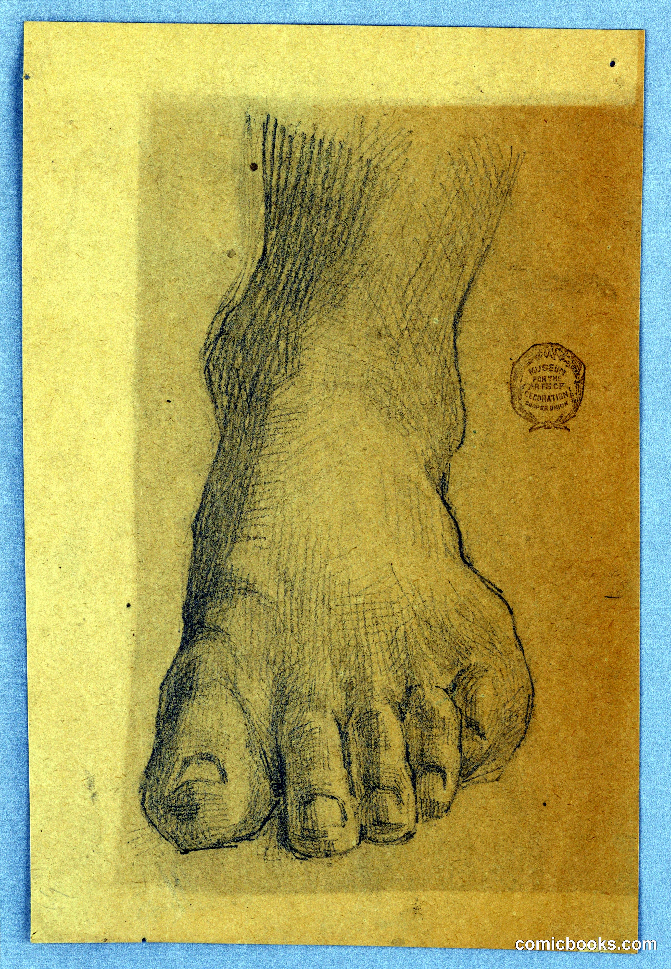 Study of Left Foot