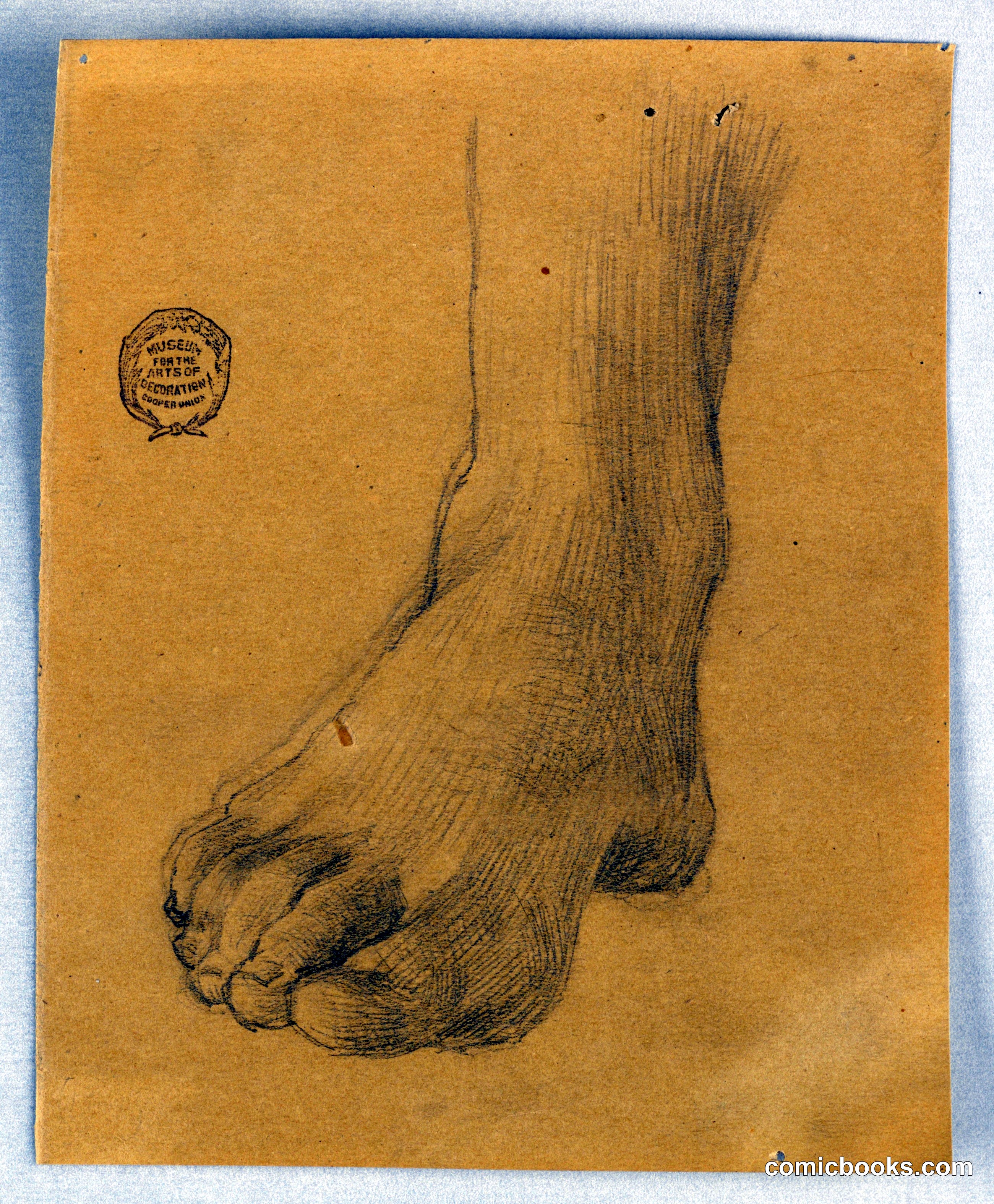 Study of Right Foot