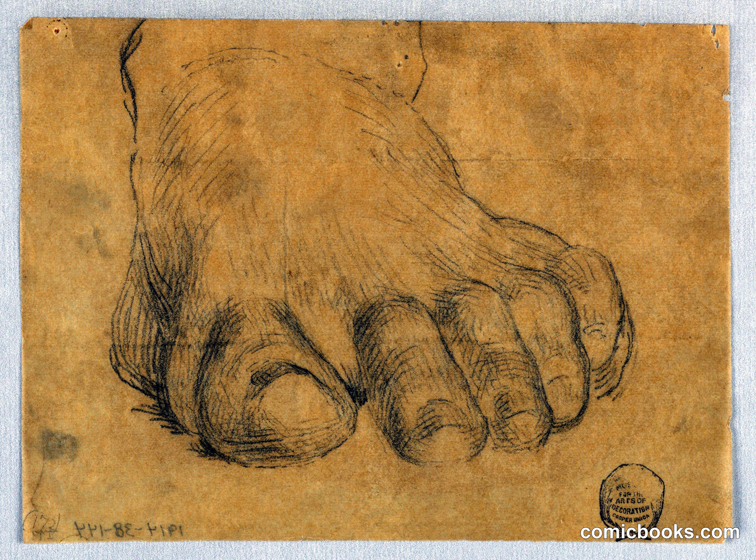 Study of Left Foot