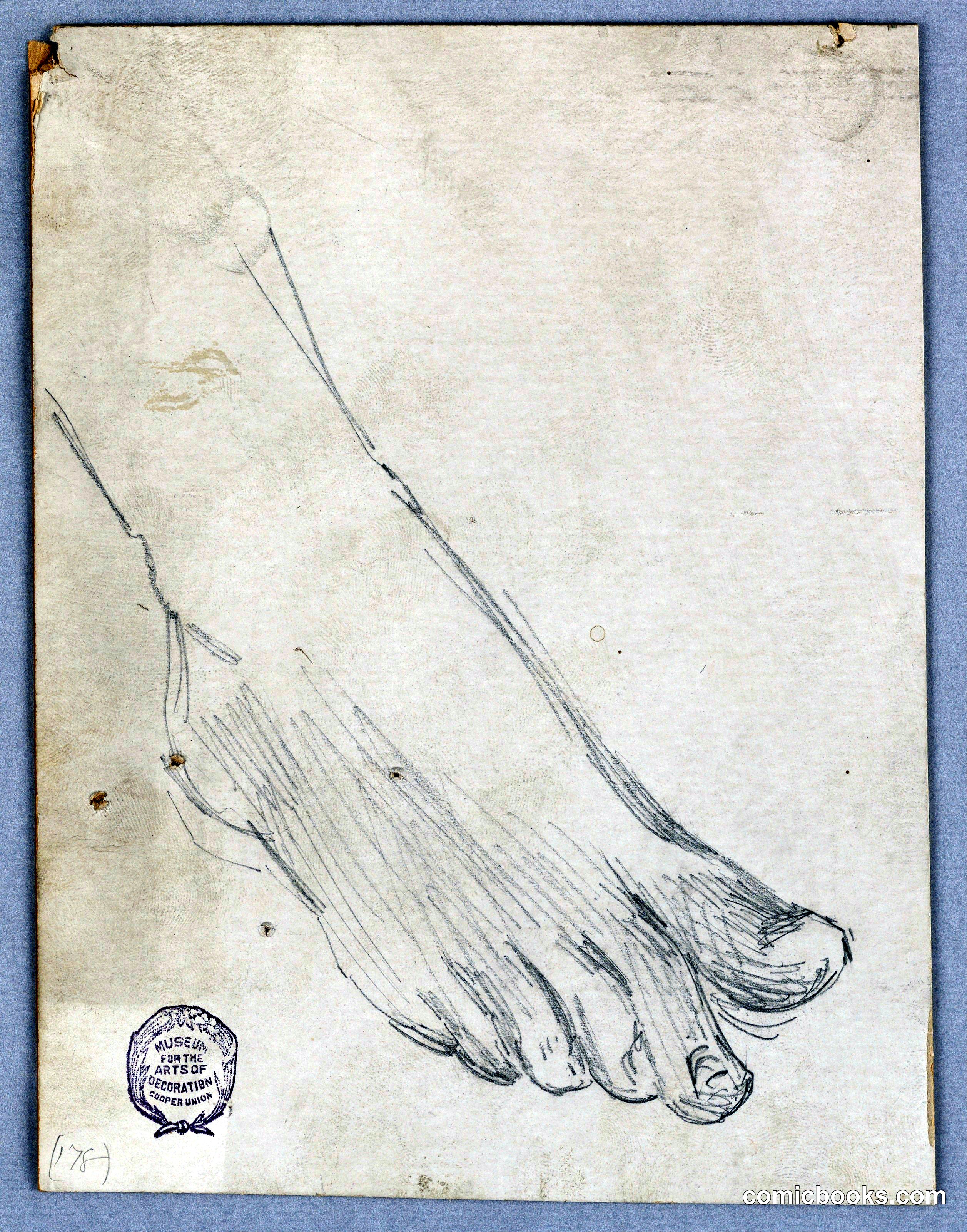 Study of Right Foot
