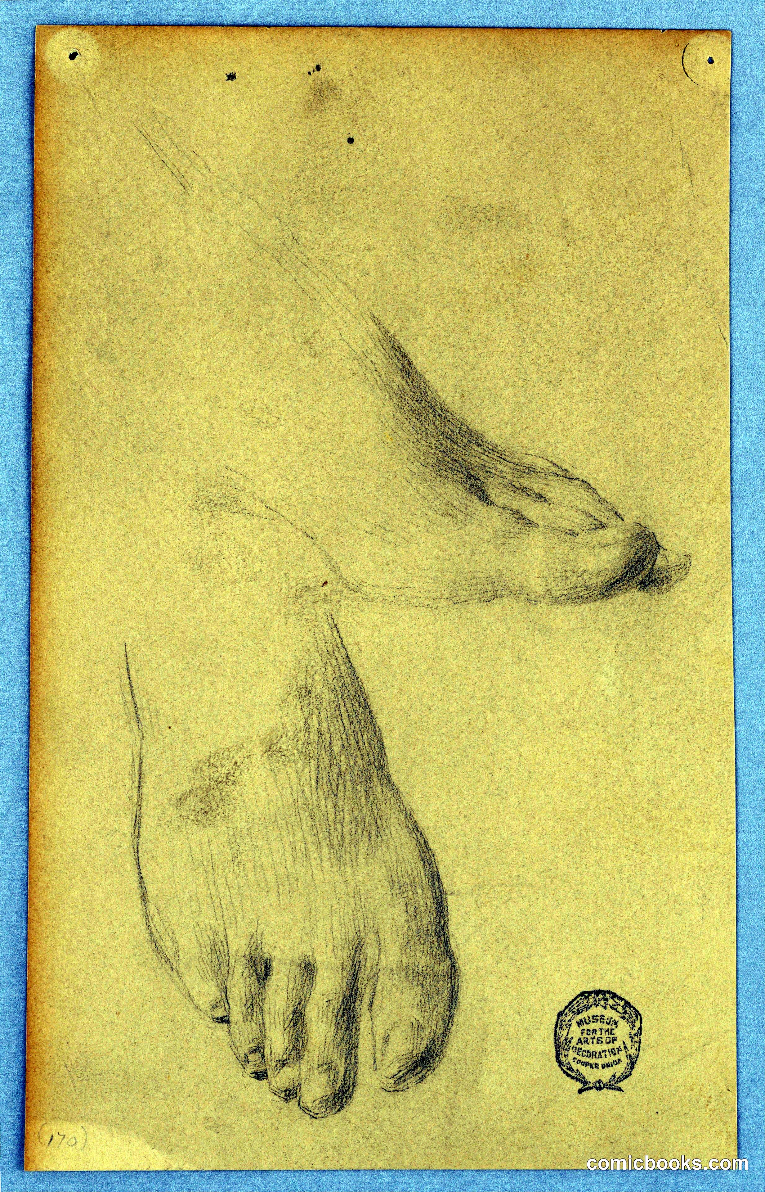 Study of Feet