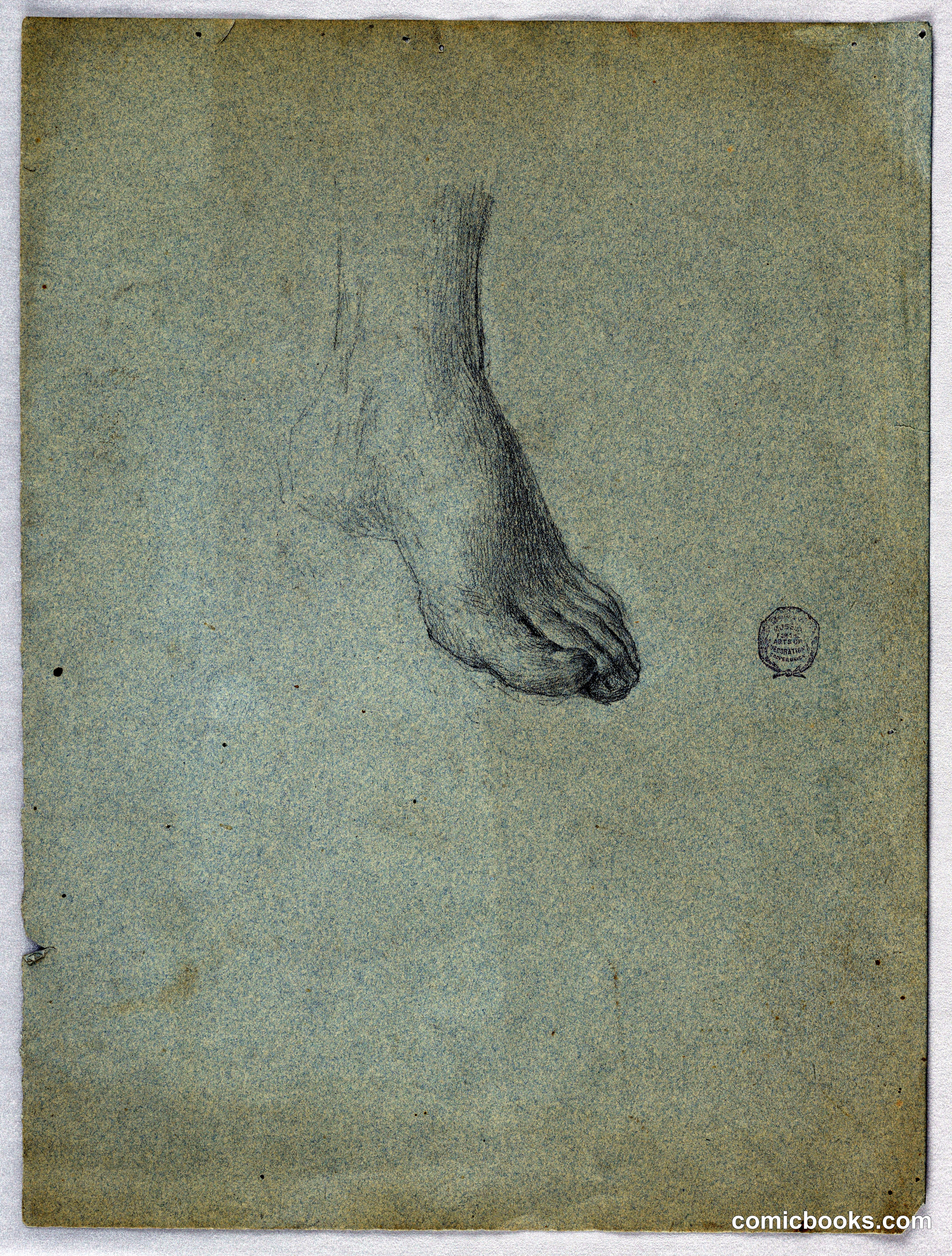 Study of Left Foot
