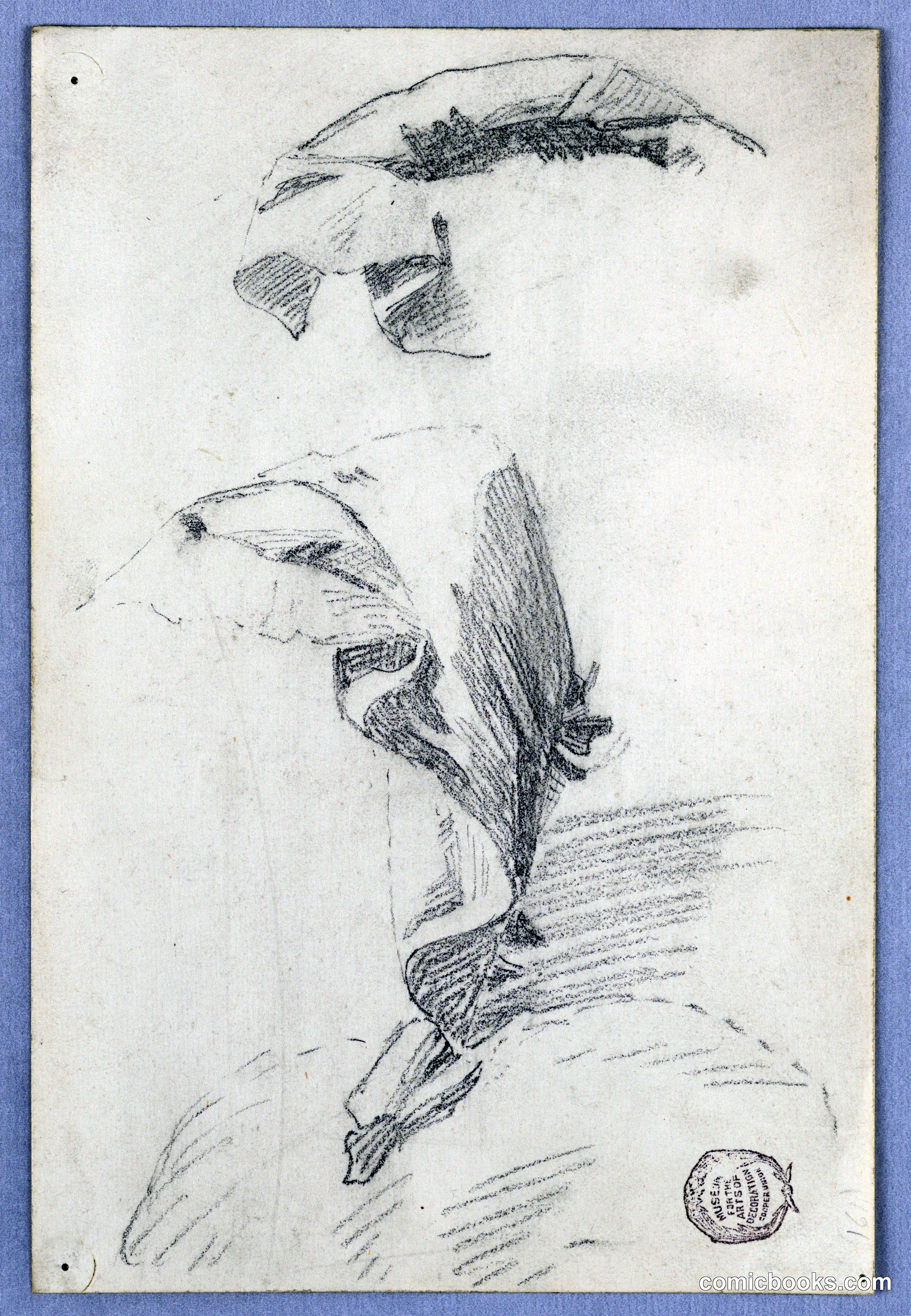 Study of Drapery