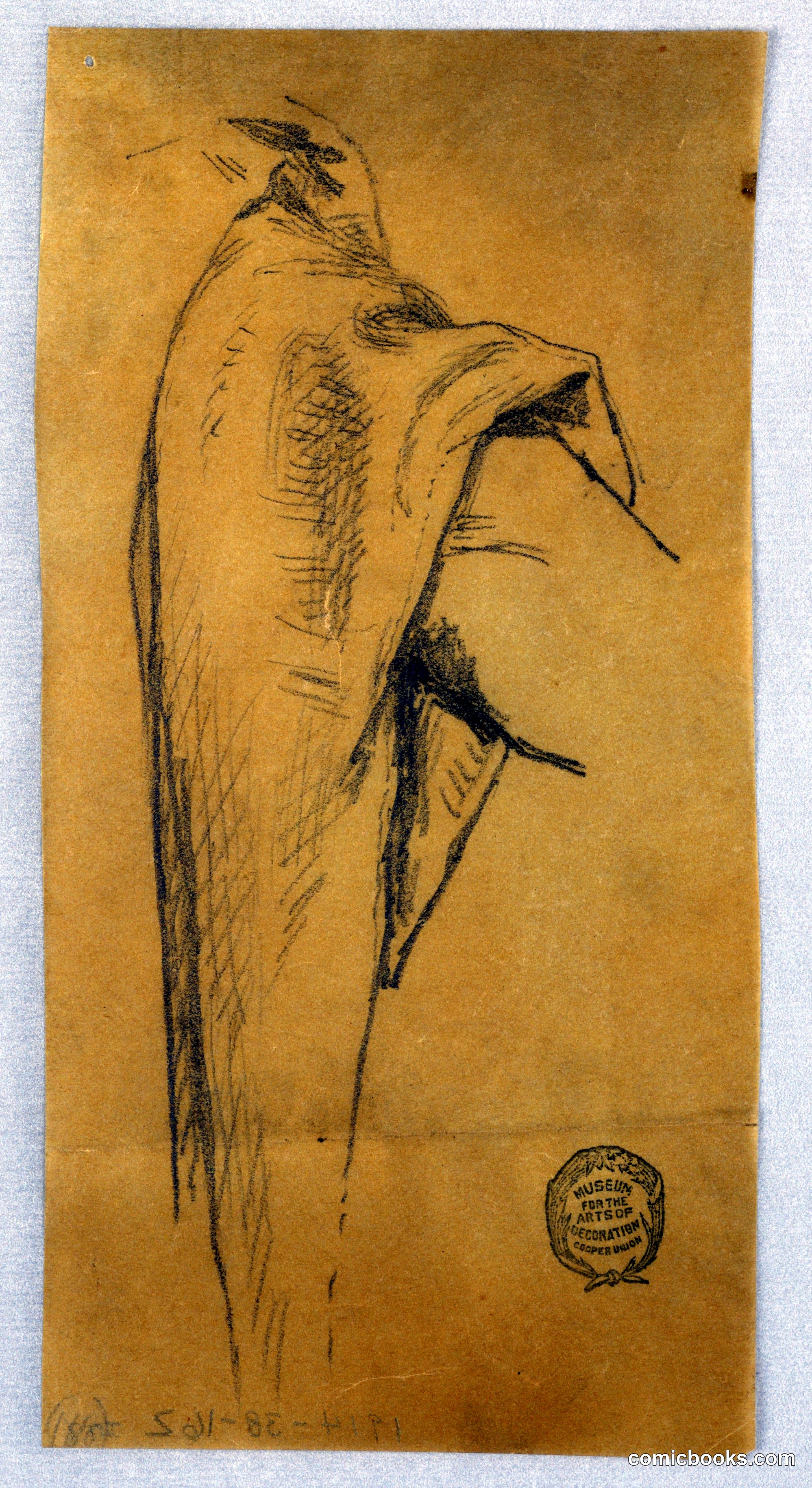 Drapery Study