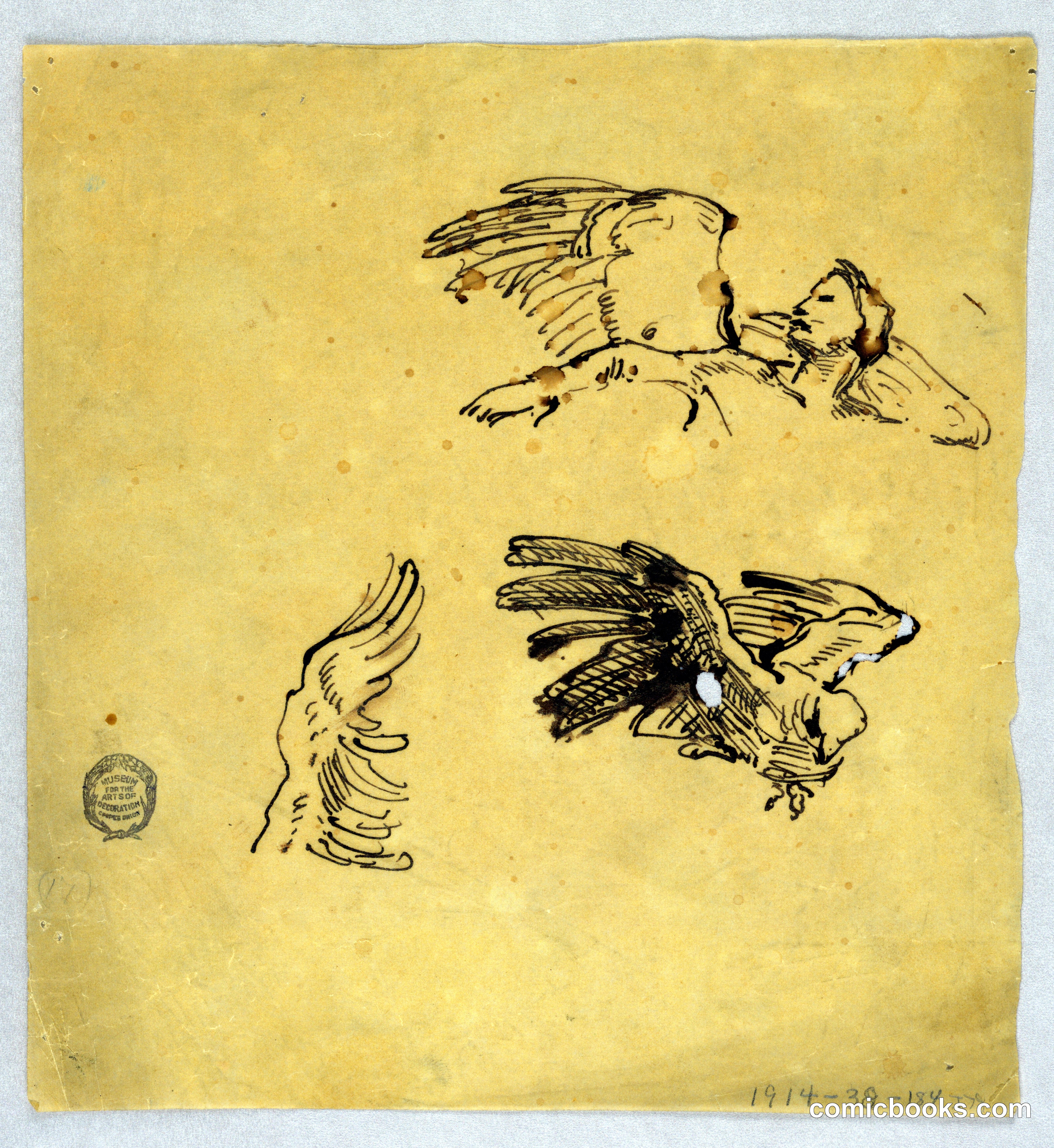 Studies of Wings