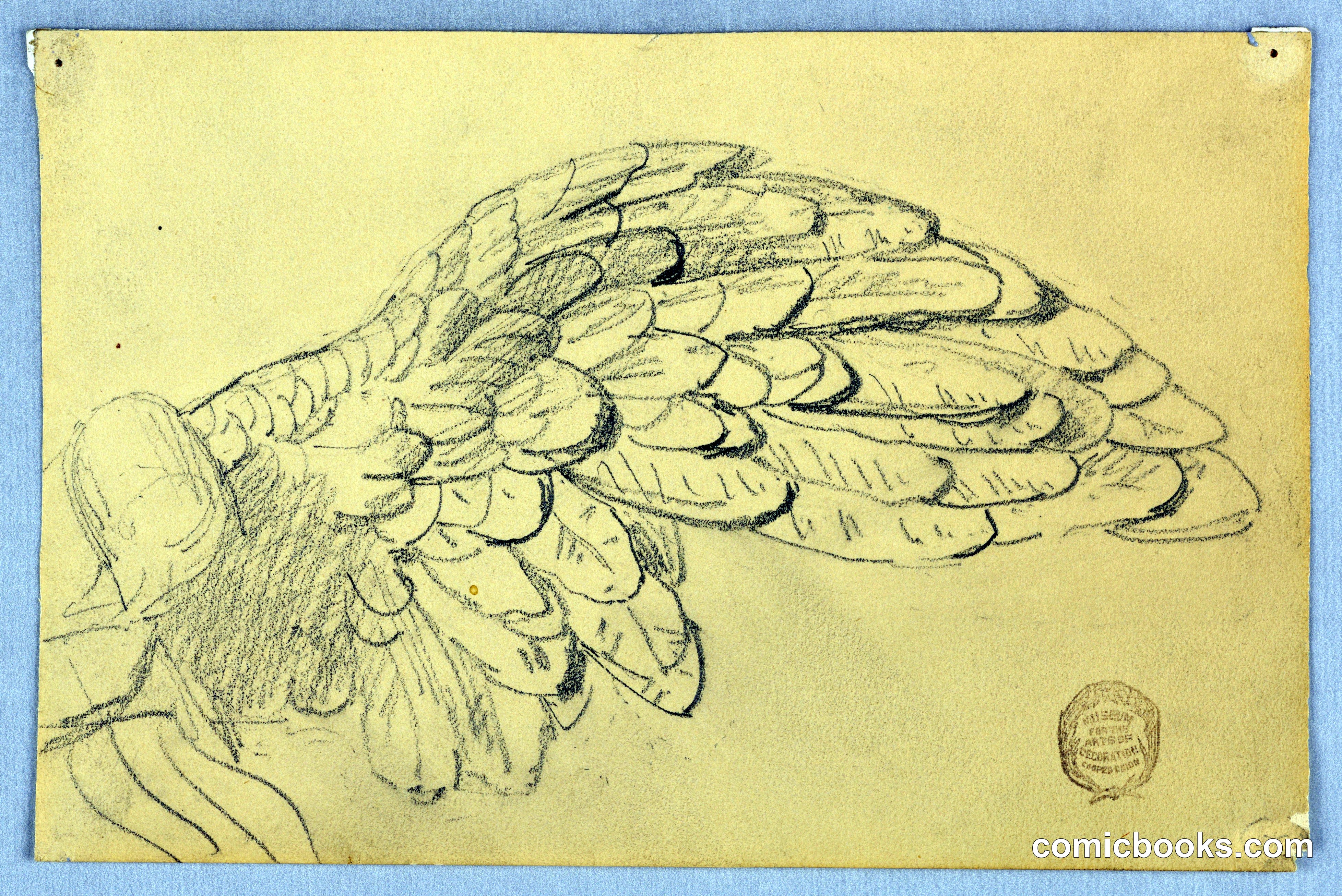 Study of a Wing