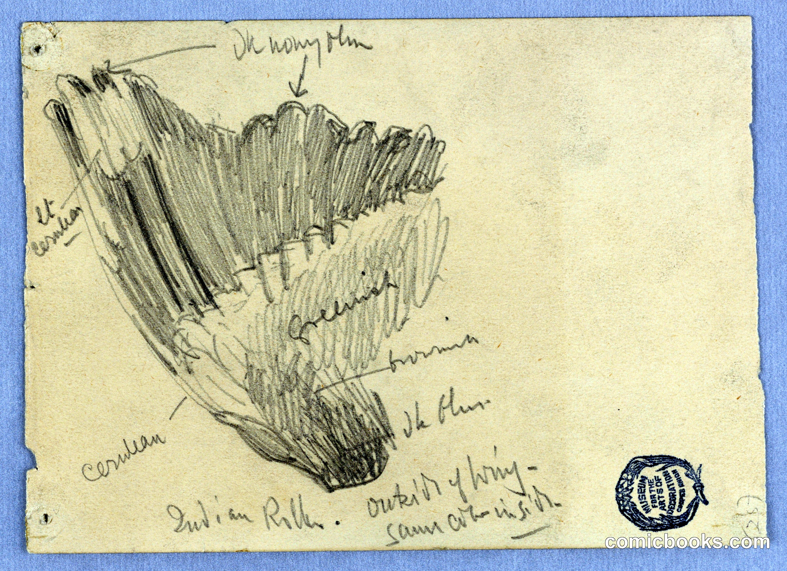 Study of a Wing