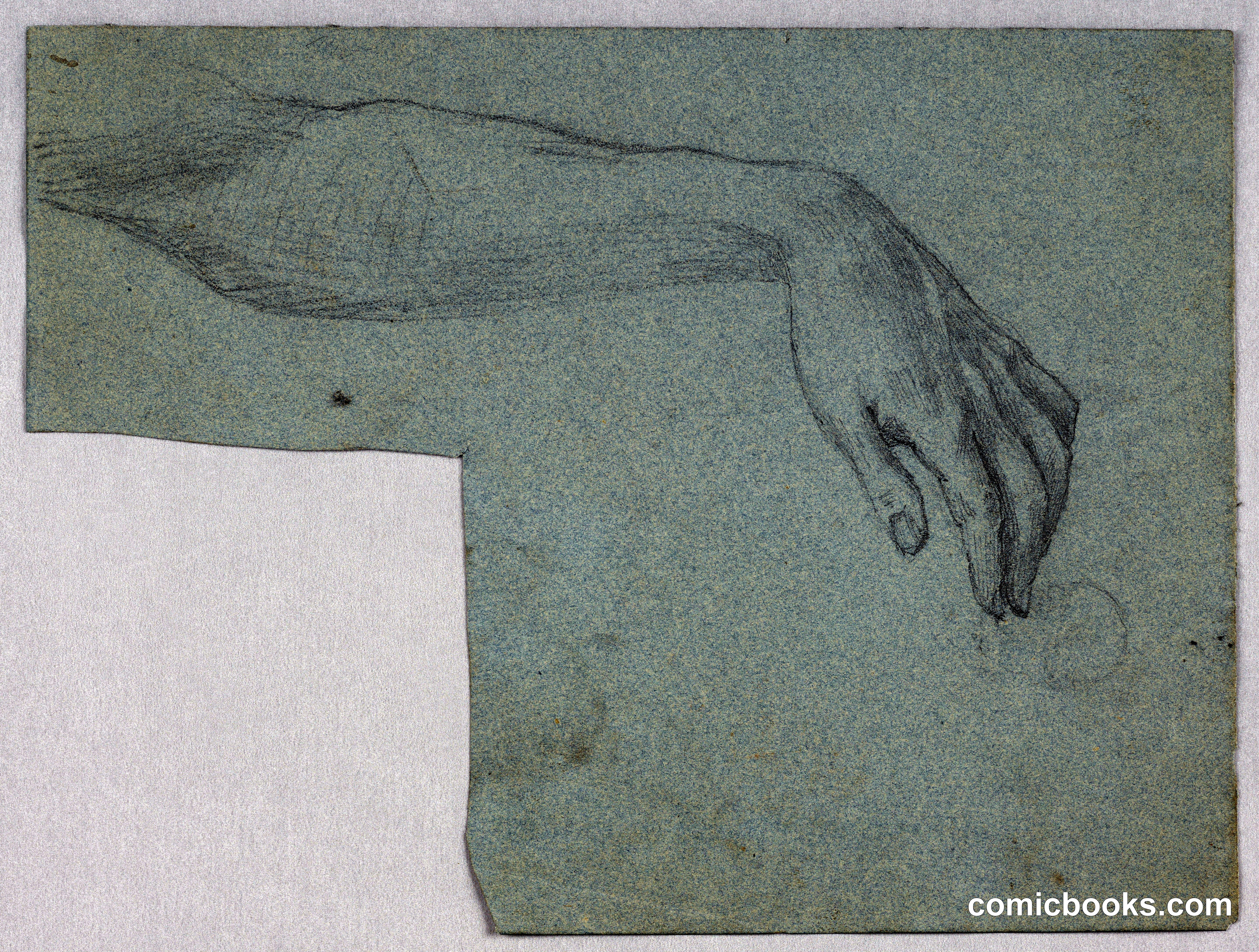 Study of Left Hand