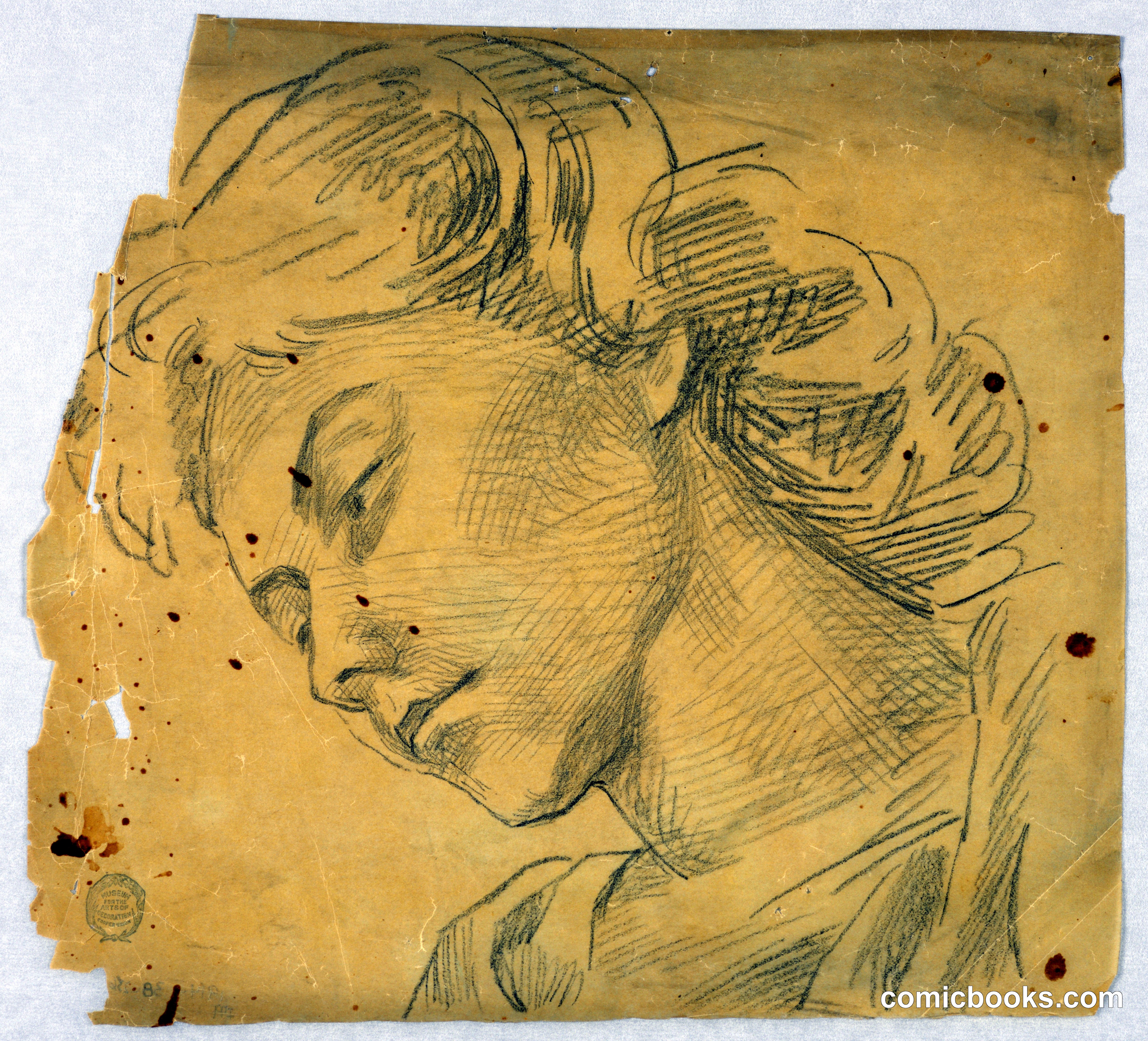 Study of a Woman's Head