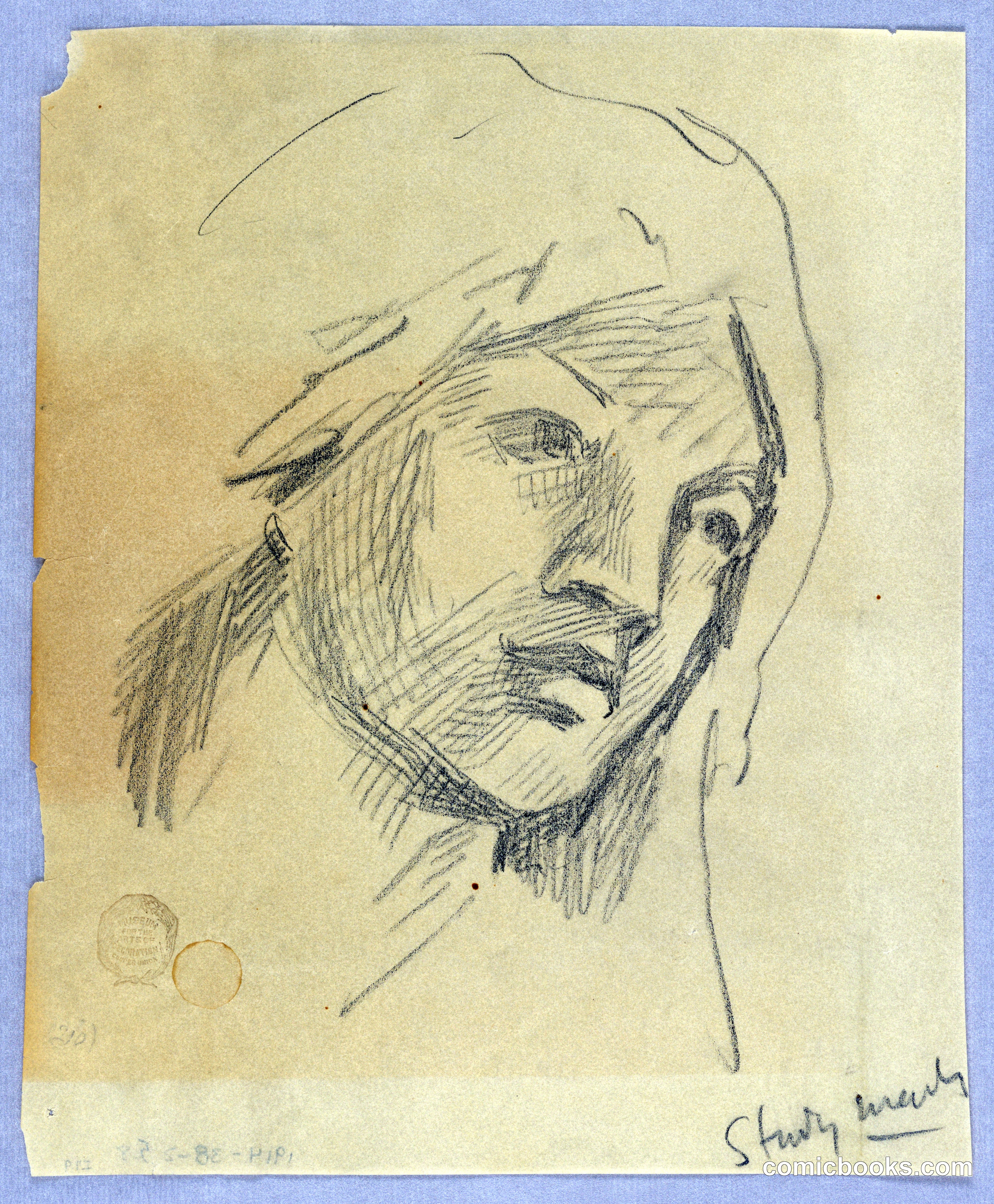 Sketch of a Woman's Head