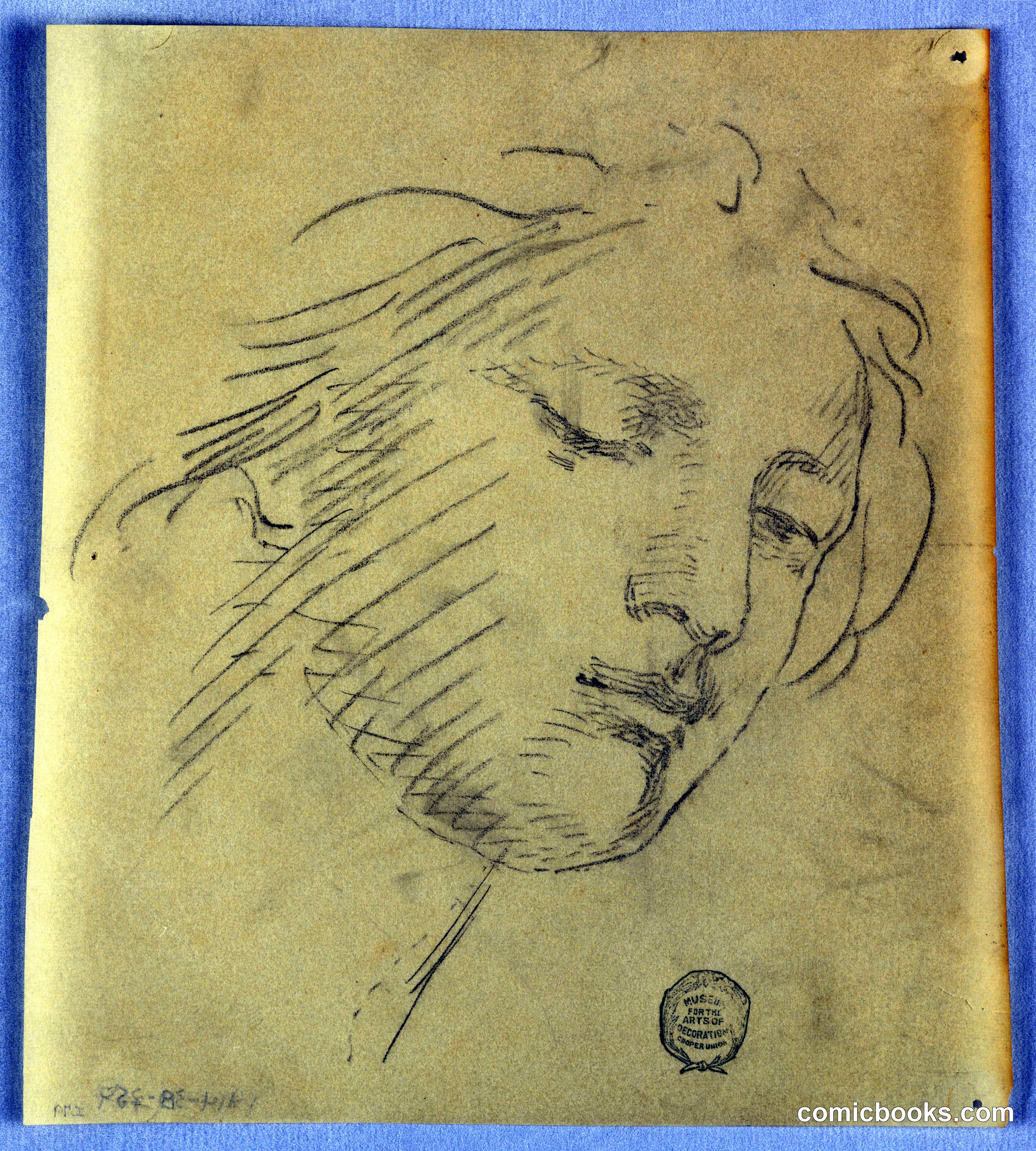 Study of a Woman's Face