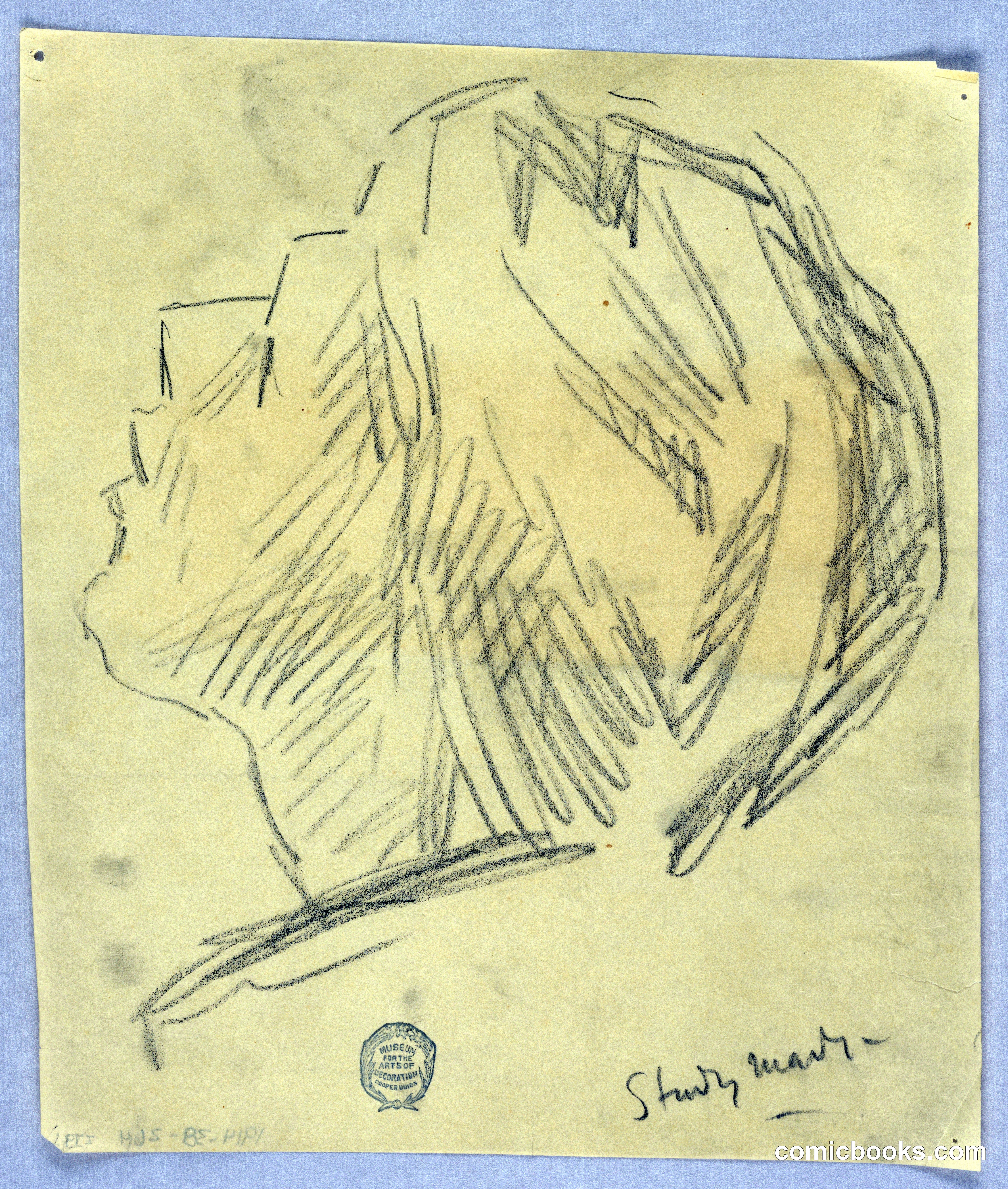Study of a Woman's Head